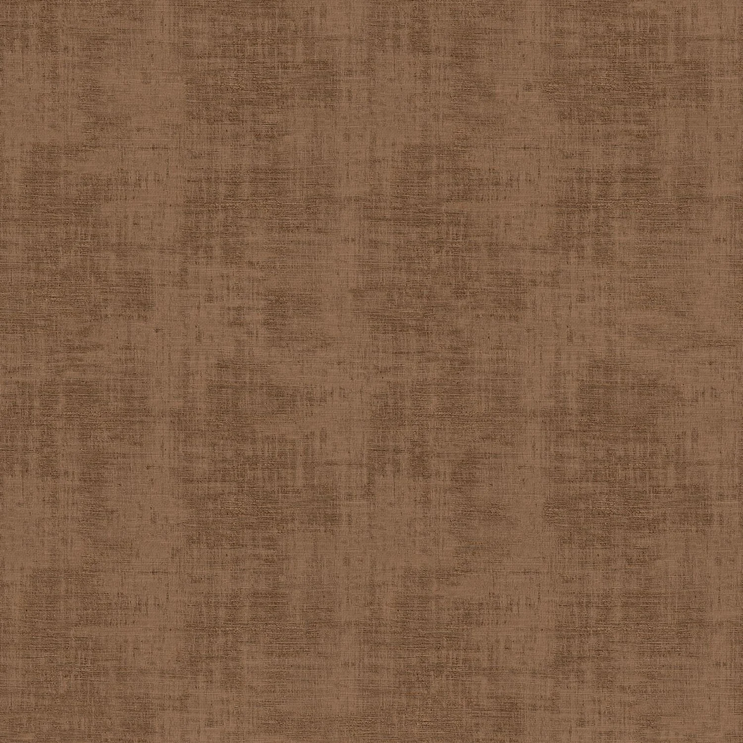 JOHARA__Cacao__74397412.jpg