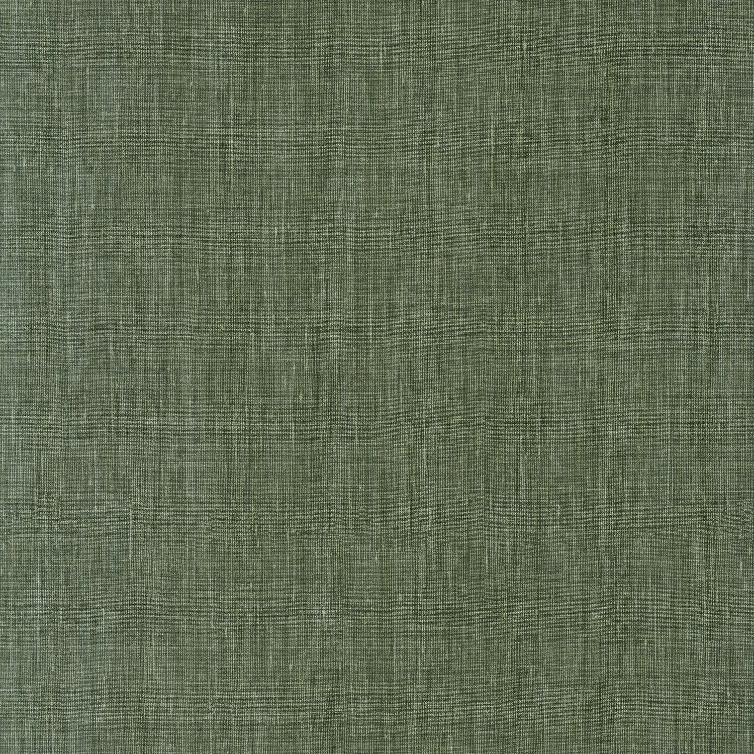 SHINOK__Vert Fume__73816406.jpg