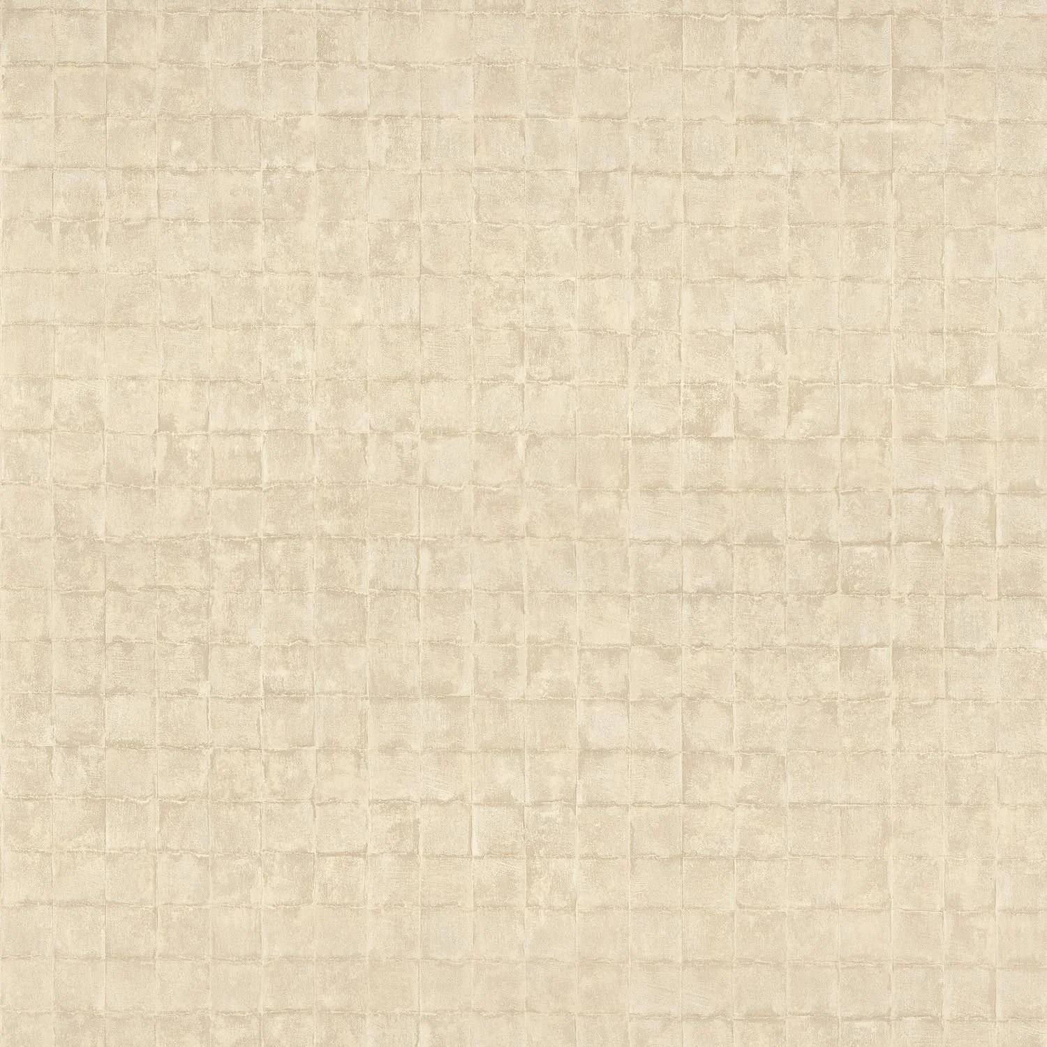 FAENZA__Sable__76080202.jpg