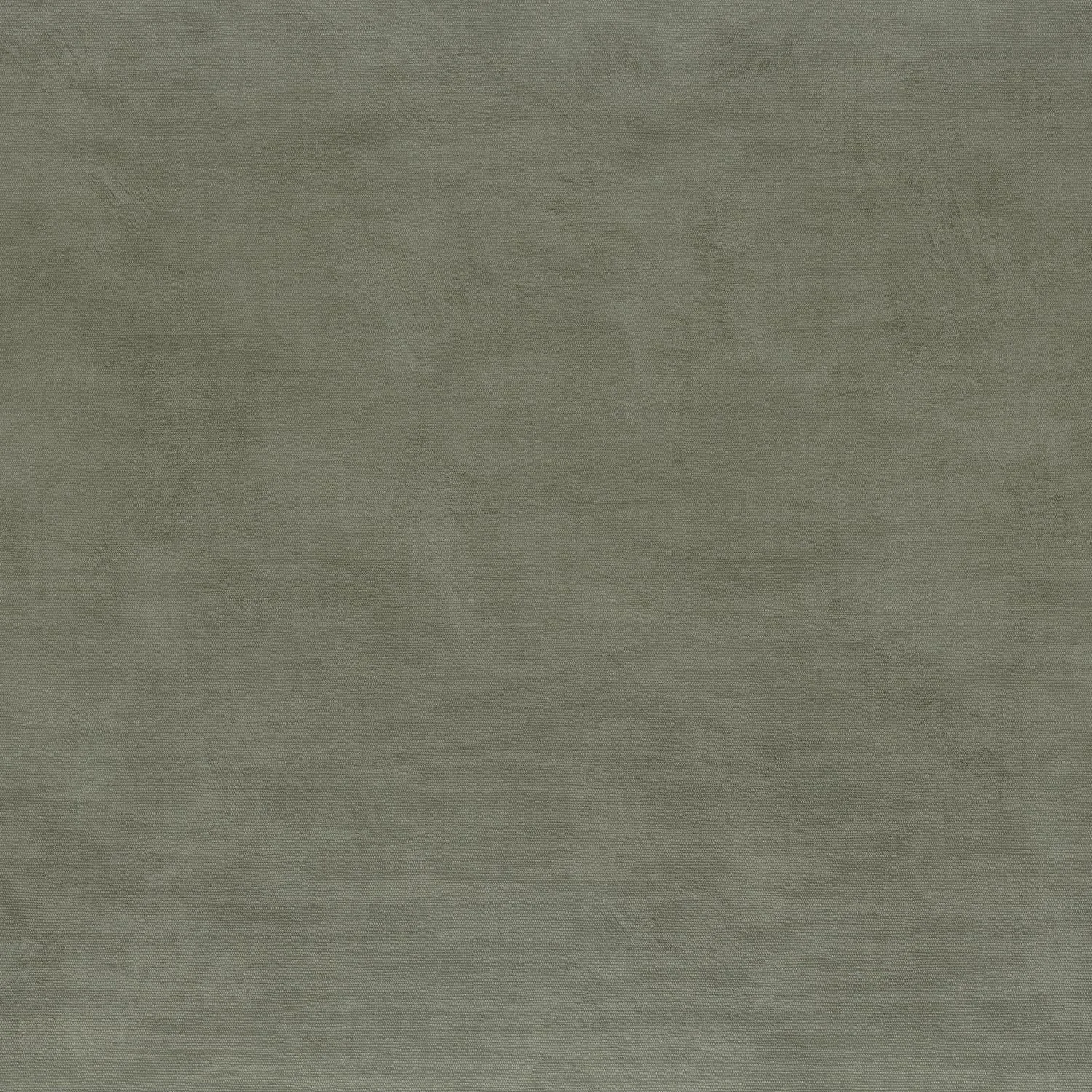 36 ARGILE Lichen.jpg