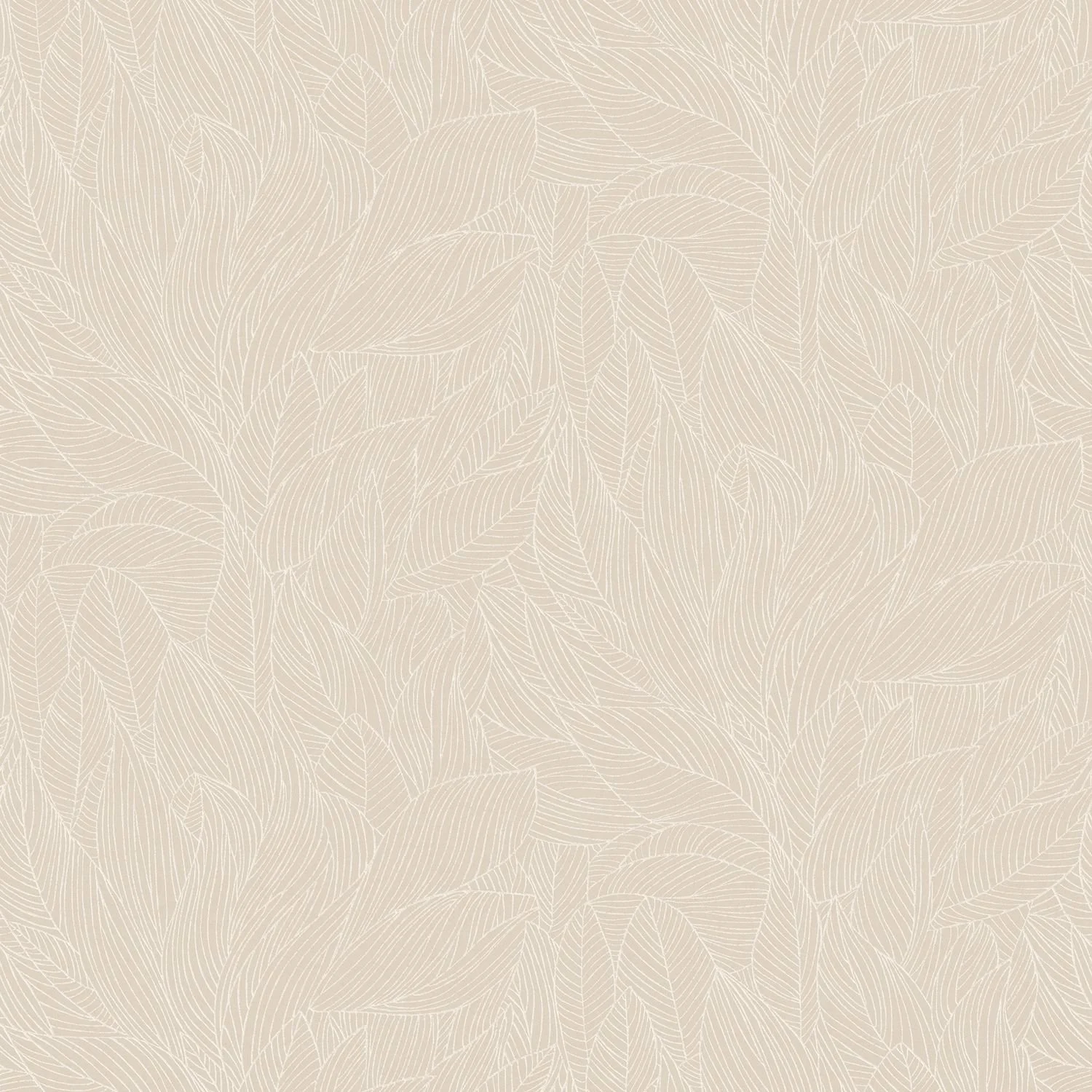 HOSTA__Marron Glace-Nacre__76602242.jpg