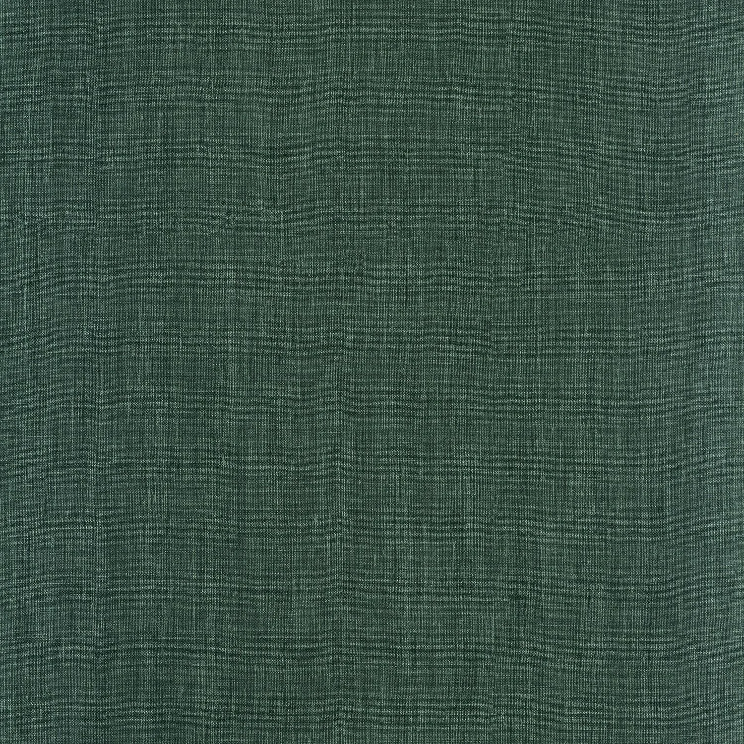 SHINOK__Vert Foret__73816712.jpg