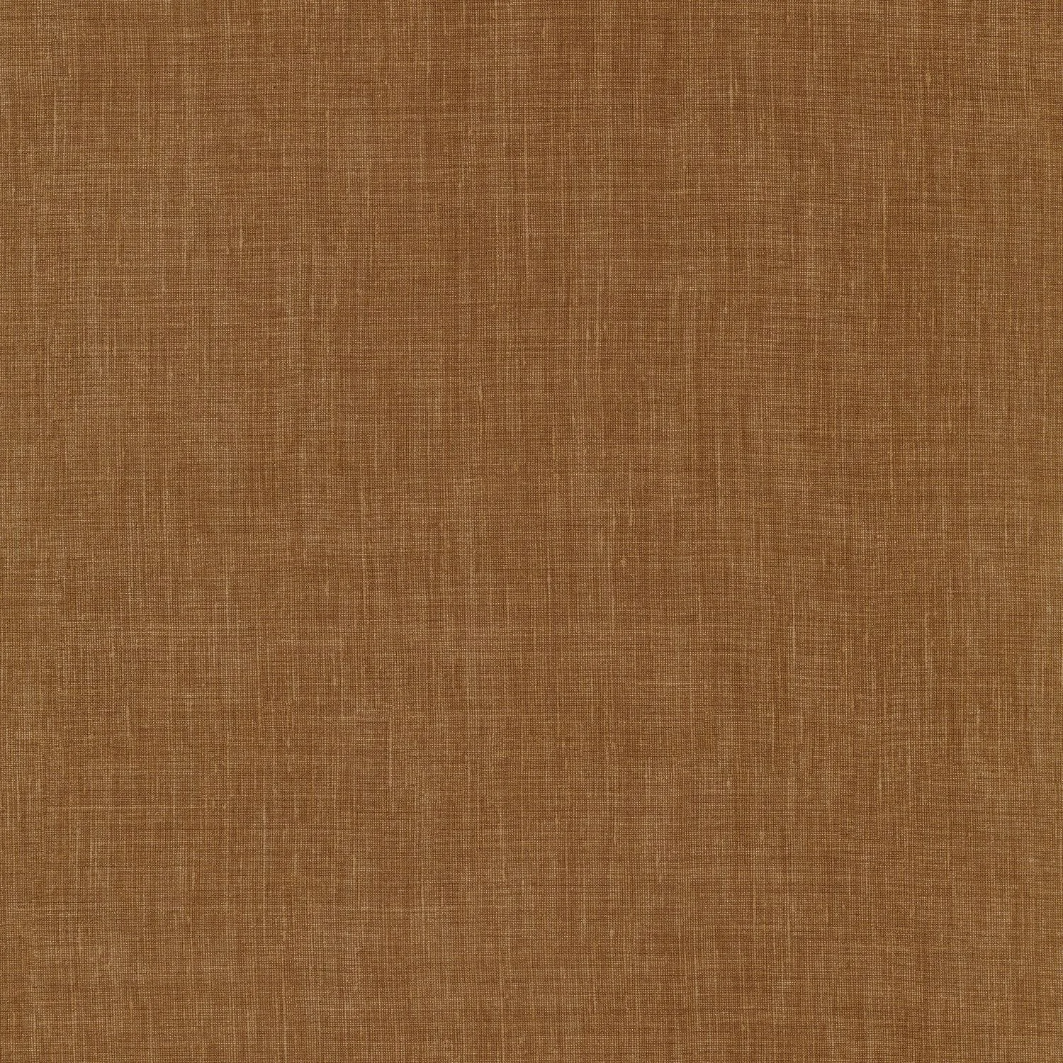 SHINOK__Ambre__73817528.jpg