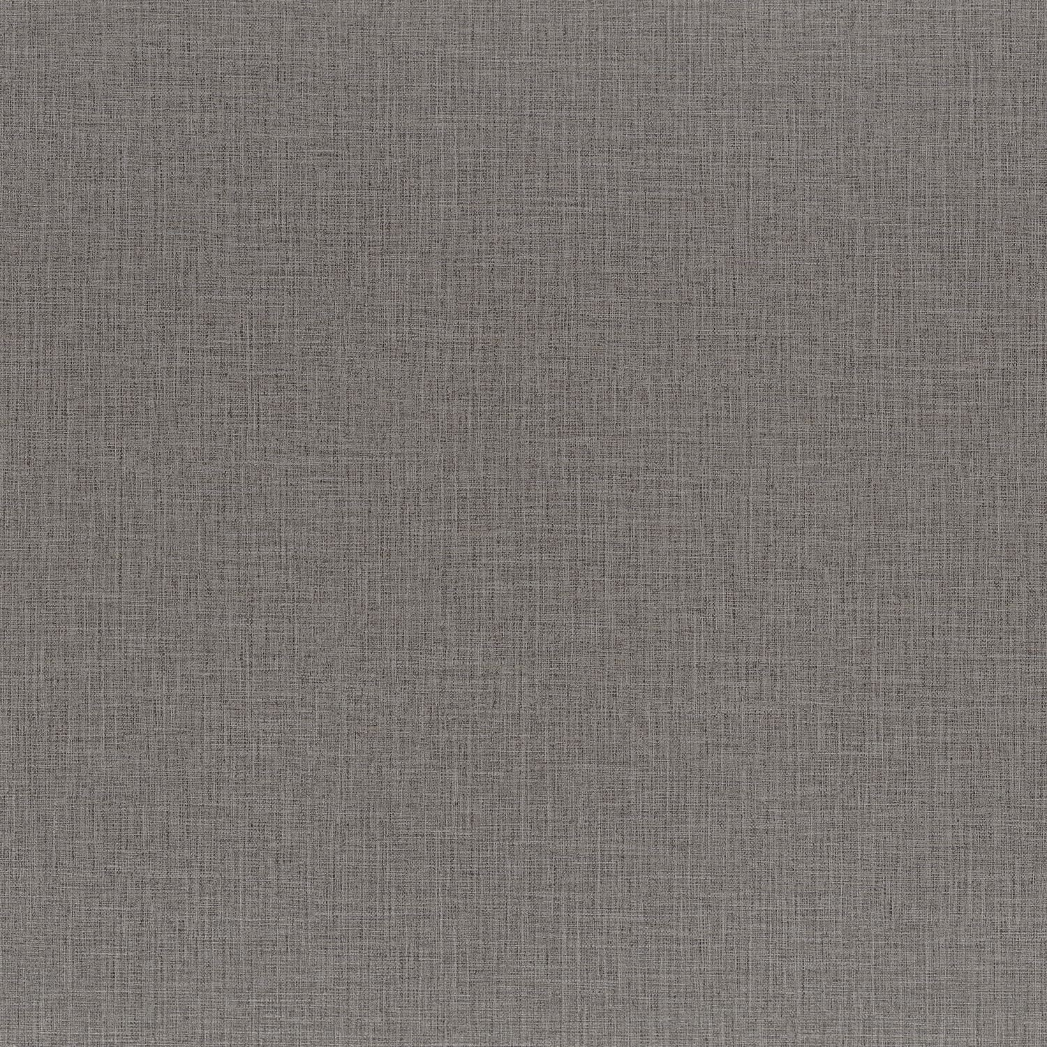 FILIN__Gris Souris__74560406.jpg