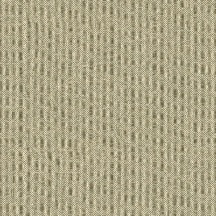kaki.webp