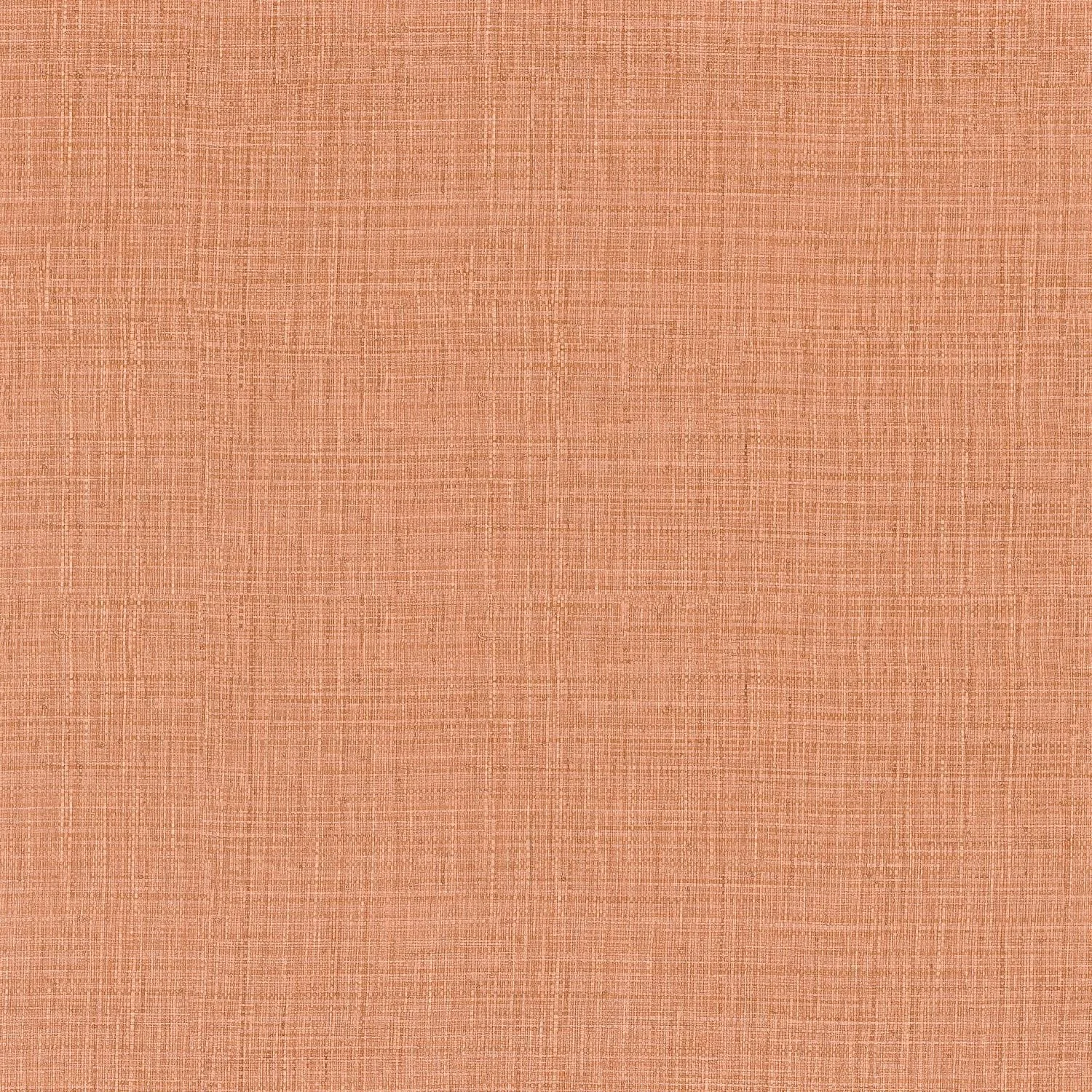 SIERRA__Corail__76702956.jpg