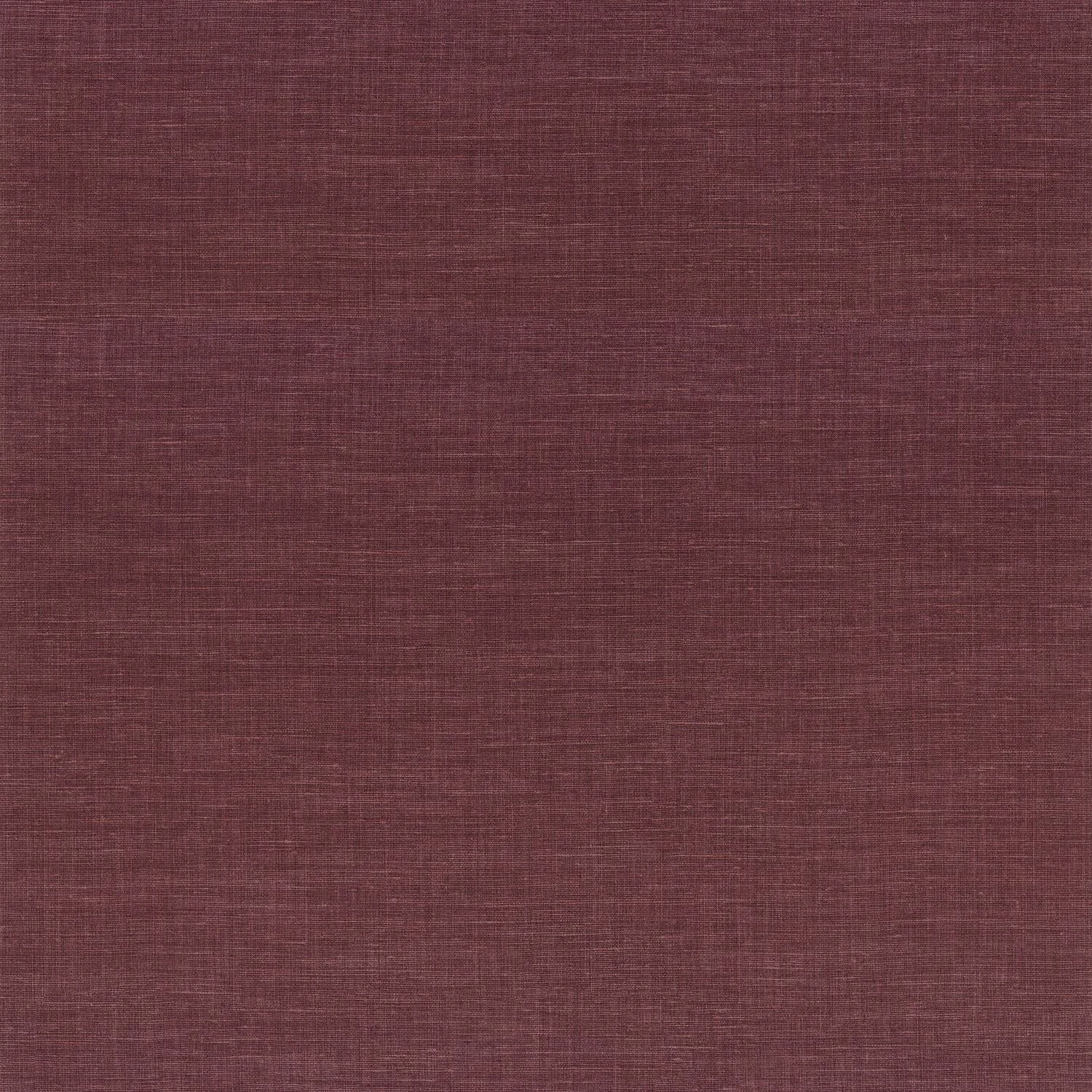 SHINOK__Pourpre__73810100.jpg