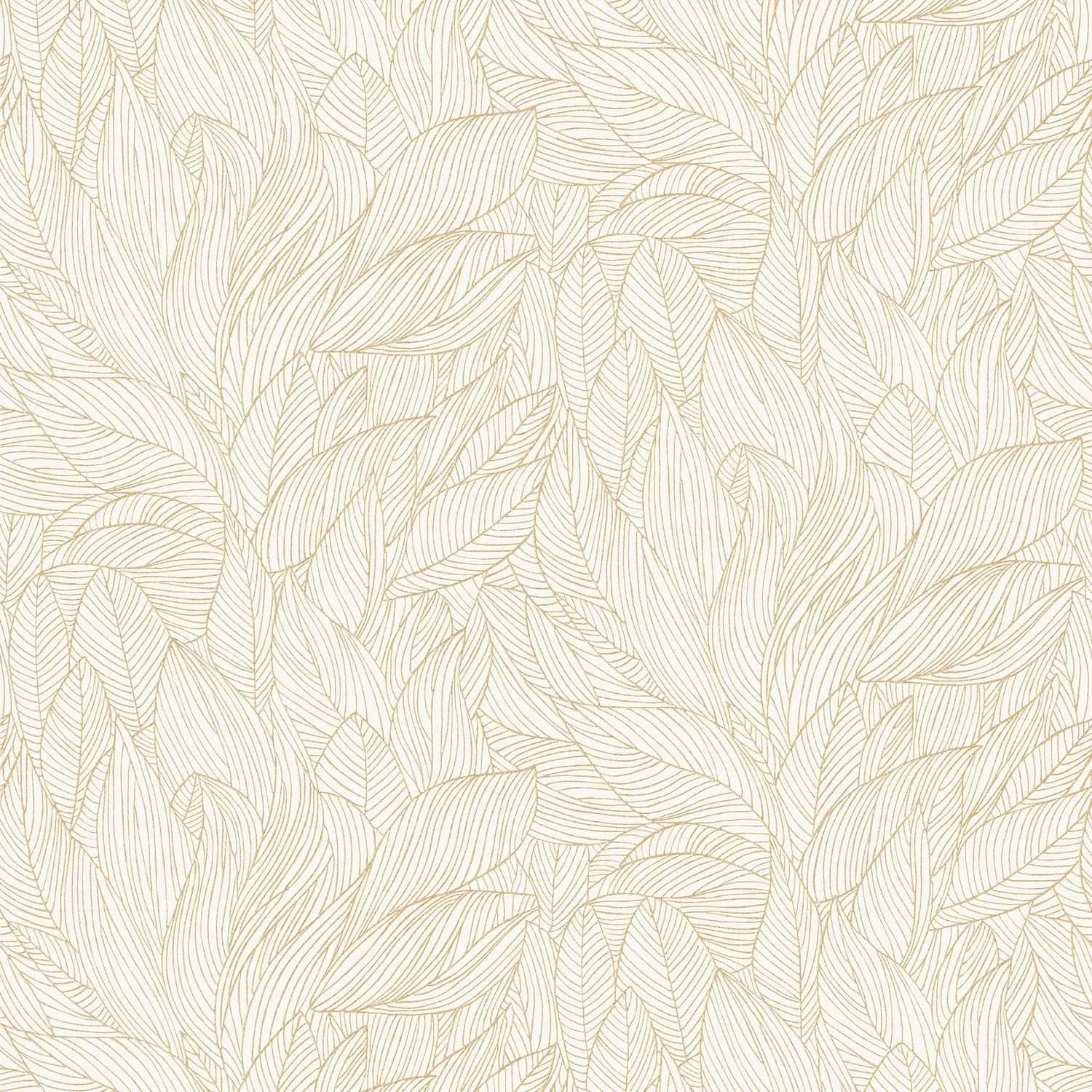 HOSTA