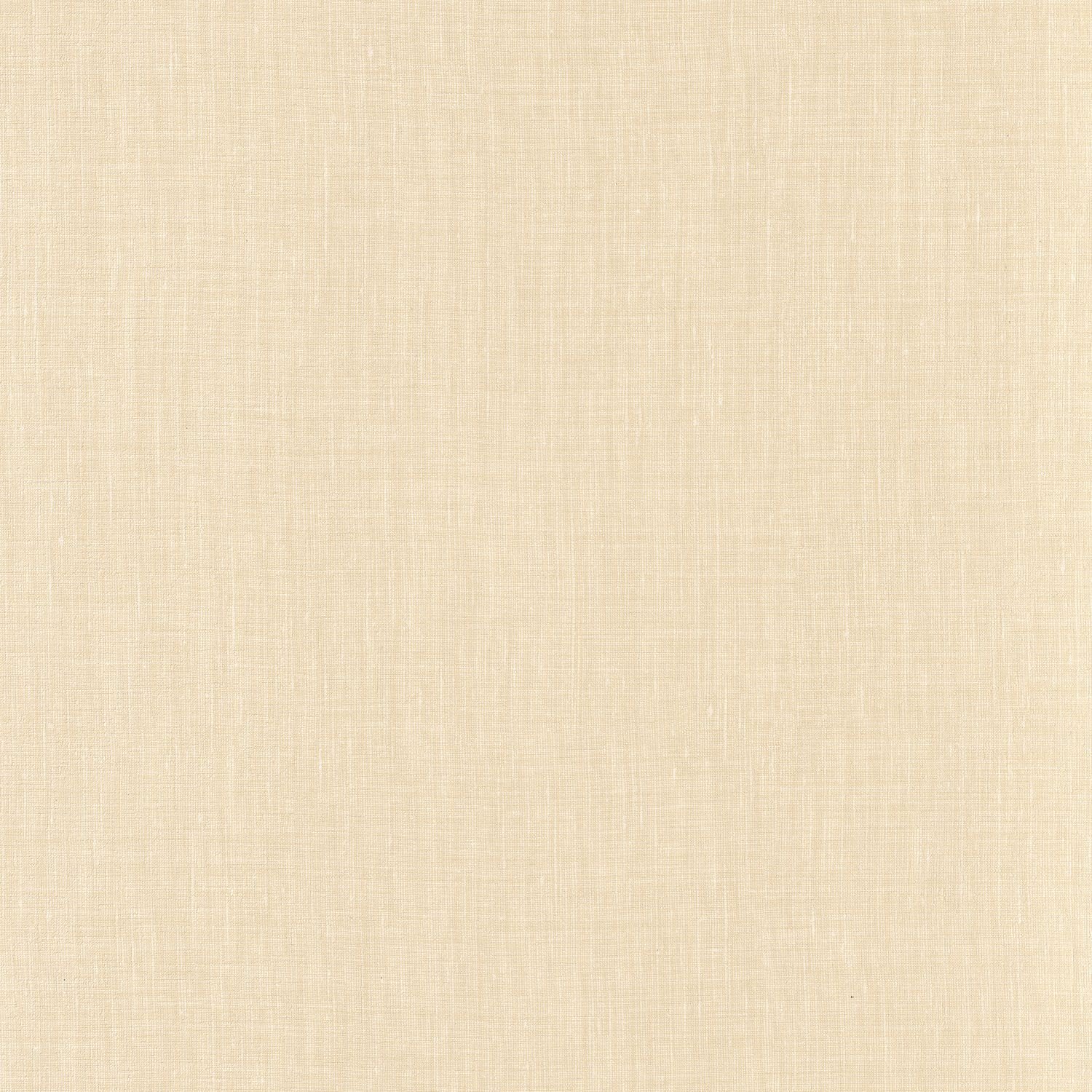 SHINOK__Coquille__73817222.jpg