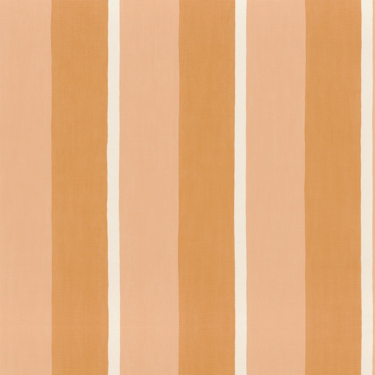 SINOPIA__Abricot-Peau De Peche__76040304.jpg