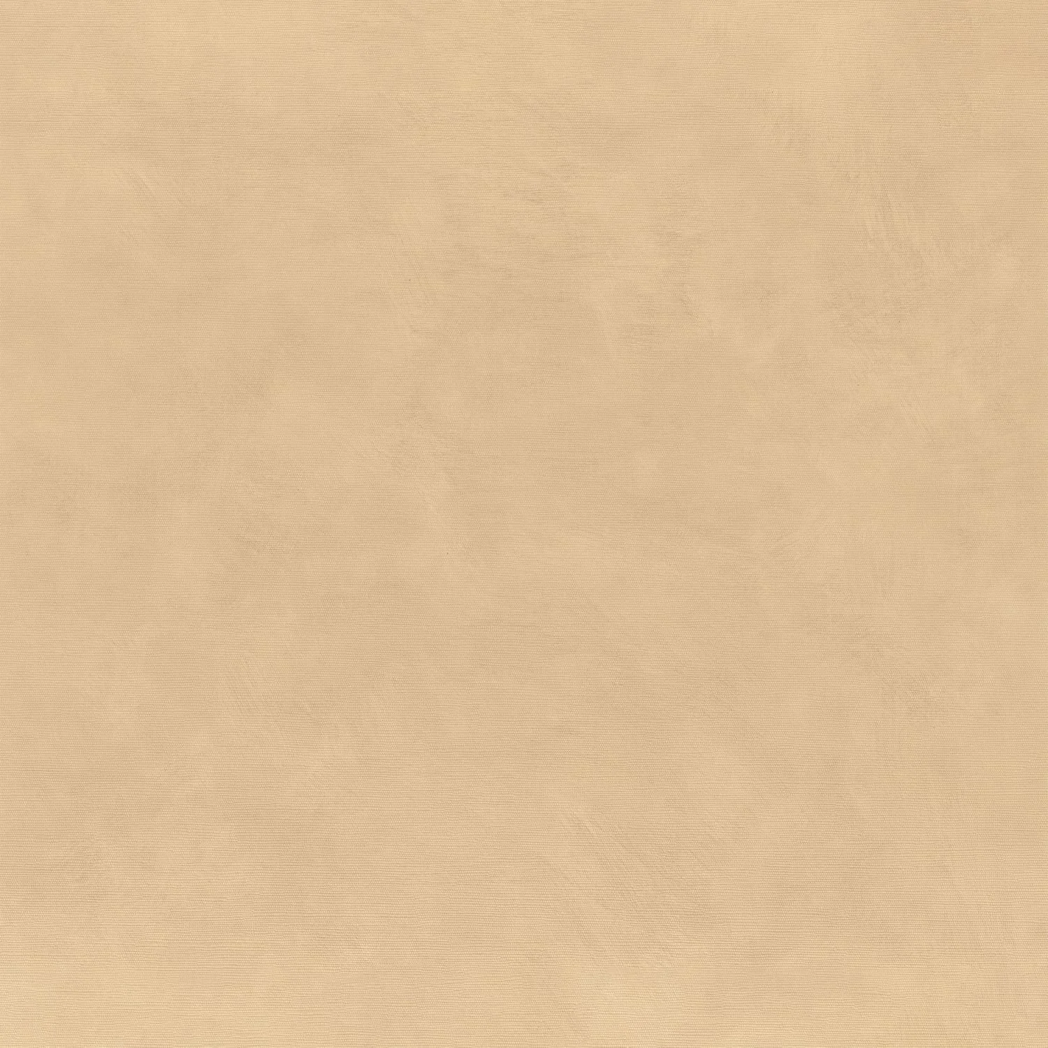 41 ARGILE Beige.jpg