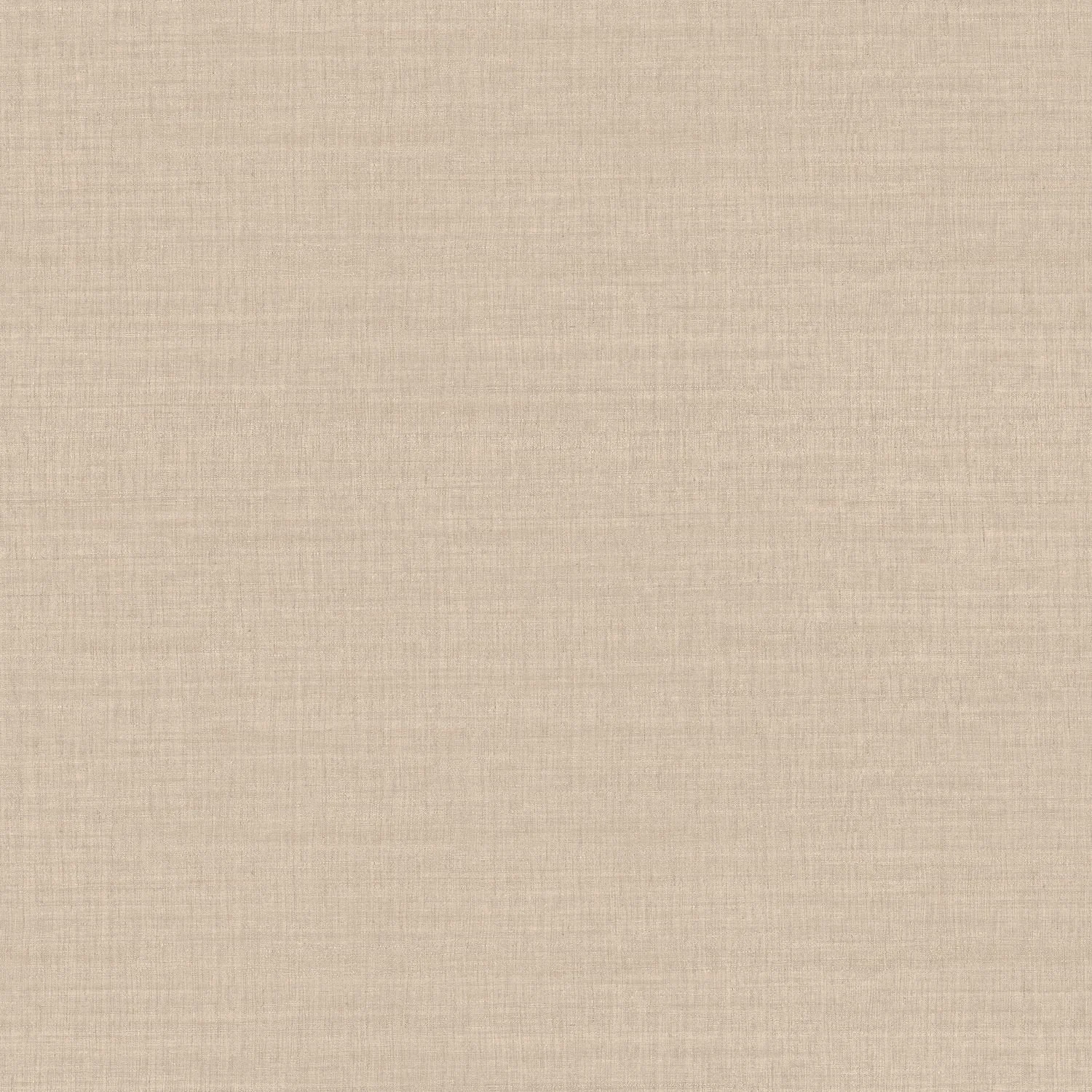 SORA__Lin__70171834.jpg