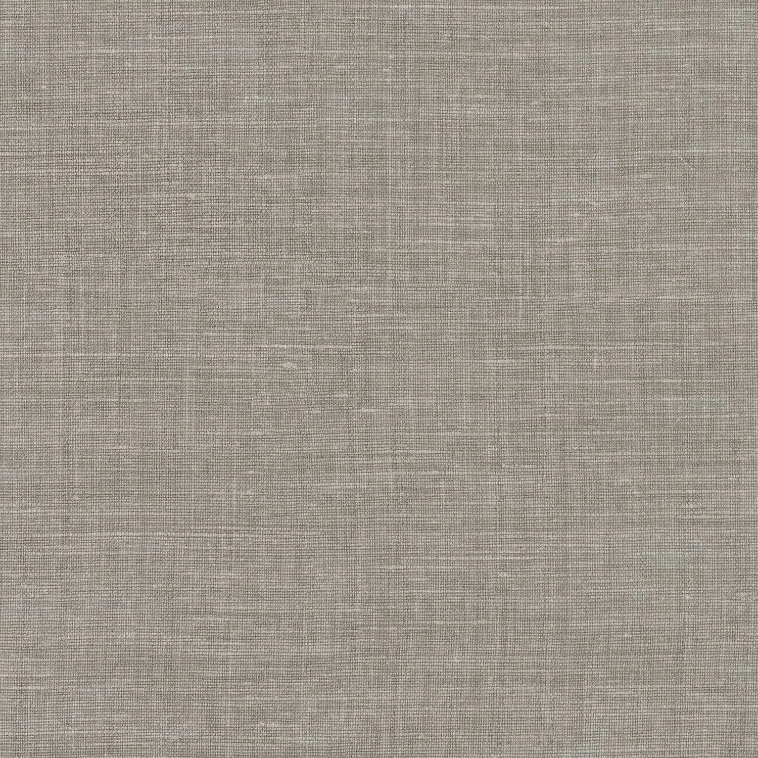 SHINOK__Gris Fer__73813680.jpg