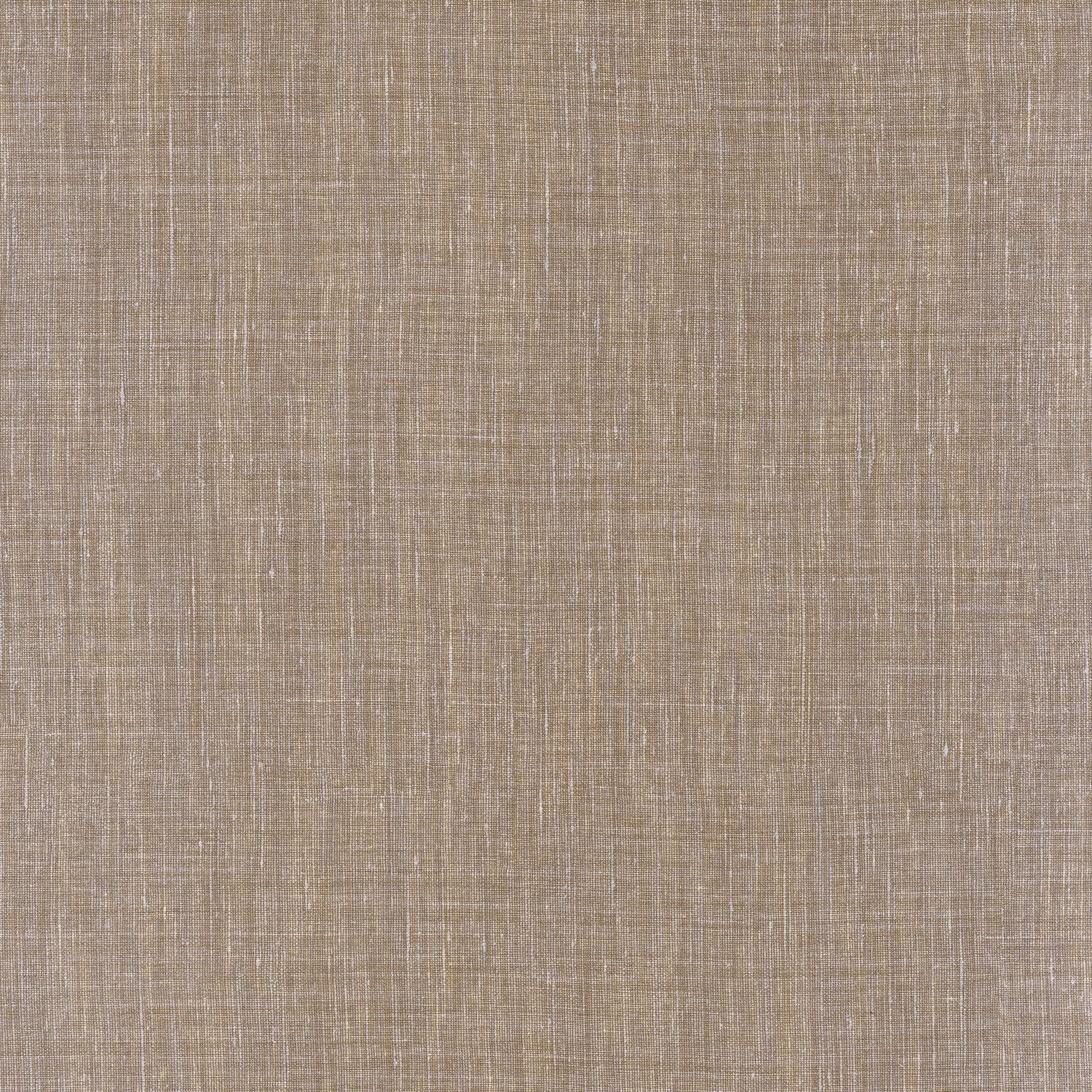 SHINOK__Latte__73817732.jpg