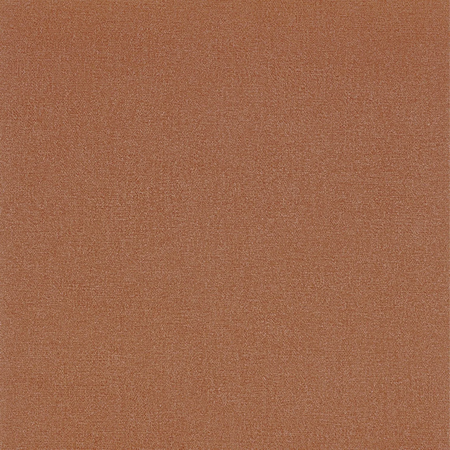 OCTA__Rouille__75423670.jpg