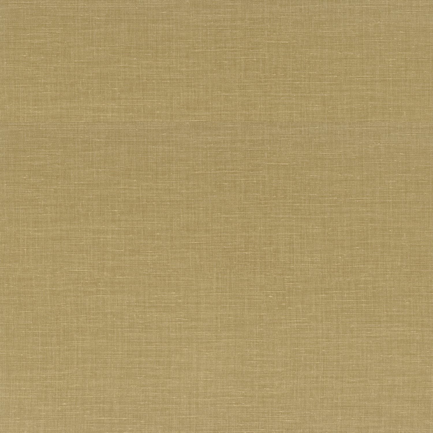 SHINOK__Chartreuse__73810908.jpg