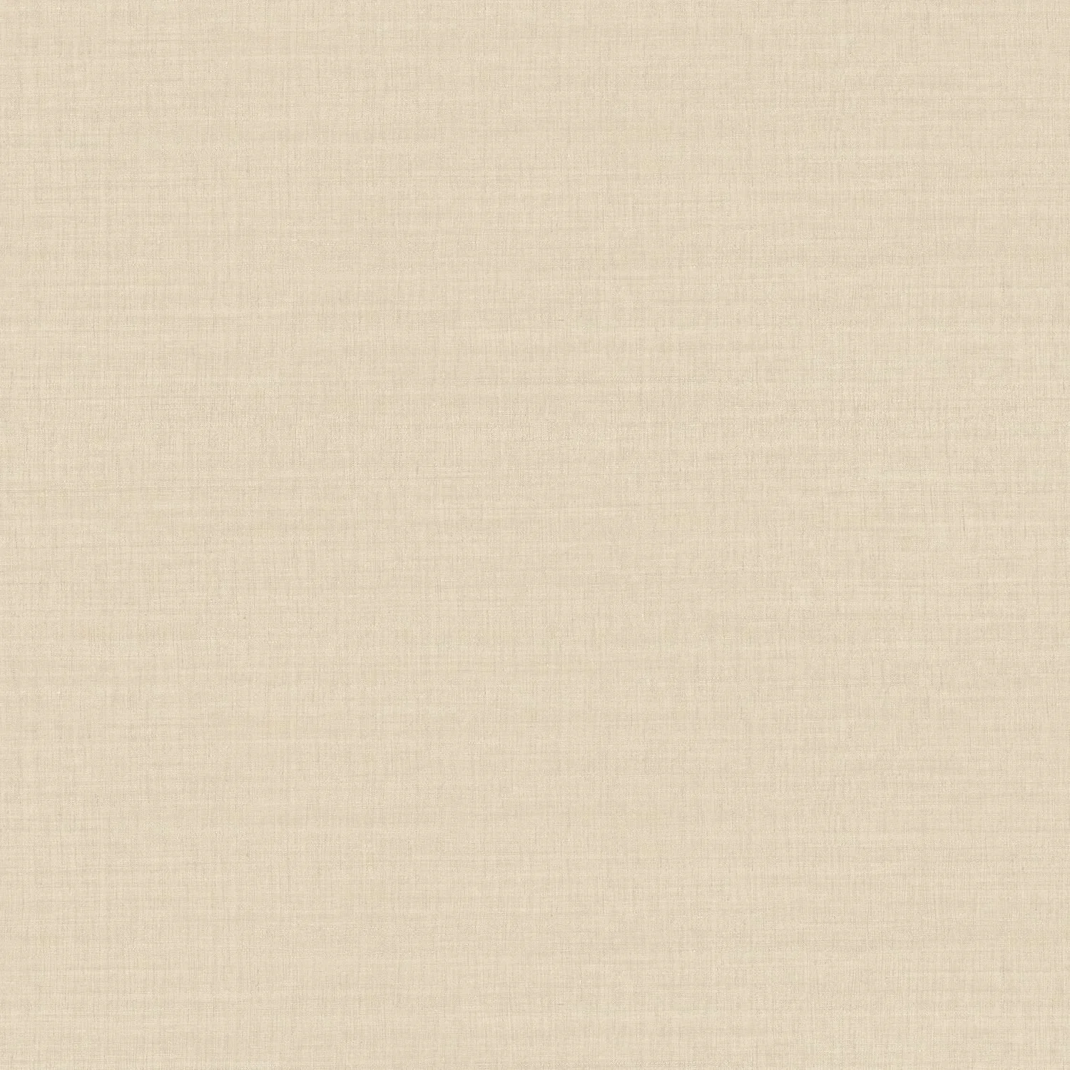 SORA__Sable__70171630.jpg