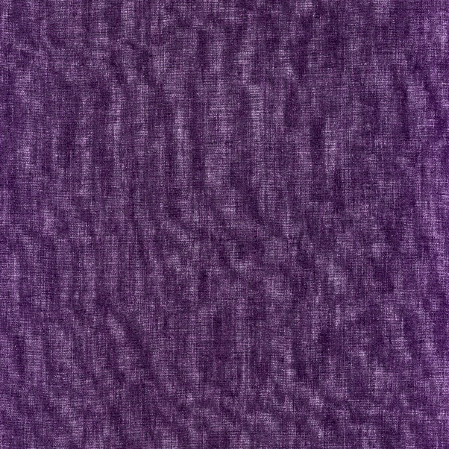 SHINOK__Violet__73818242.jpg