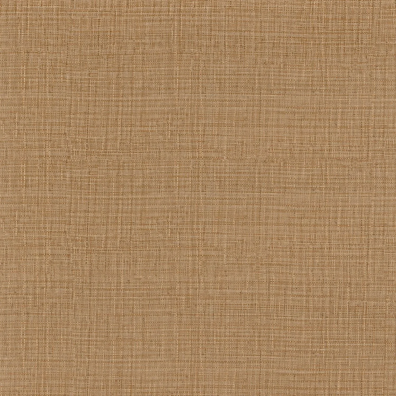 SIERRA__Camel__76702650.jpg