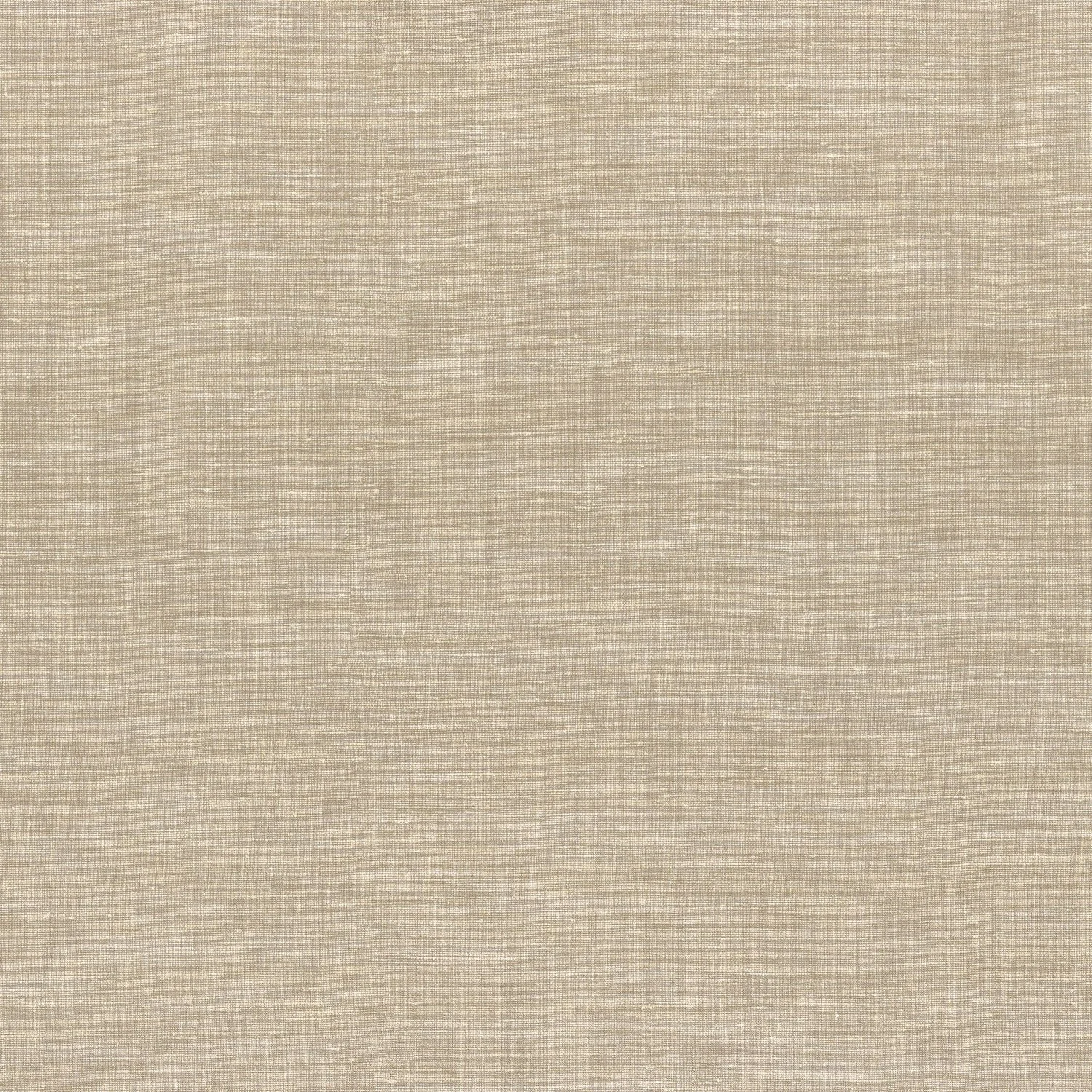 SHINOK__Champagne__73810314.jpg