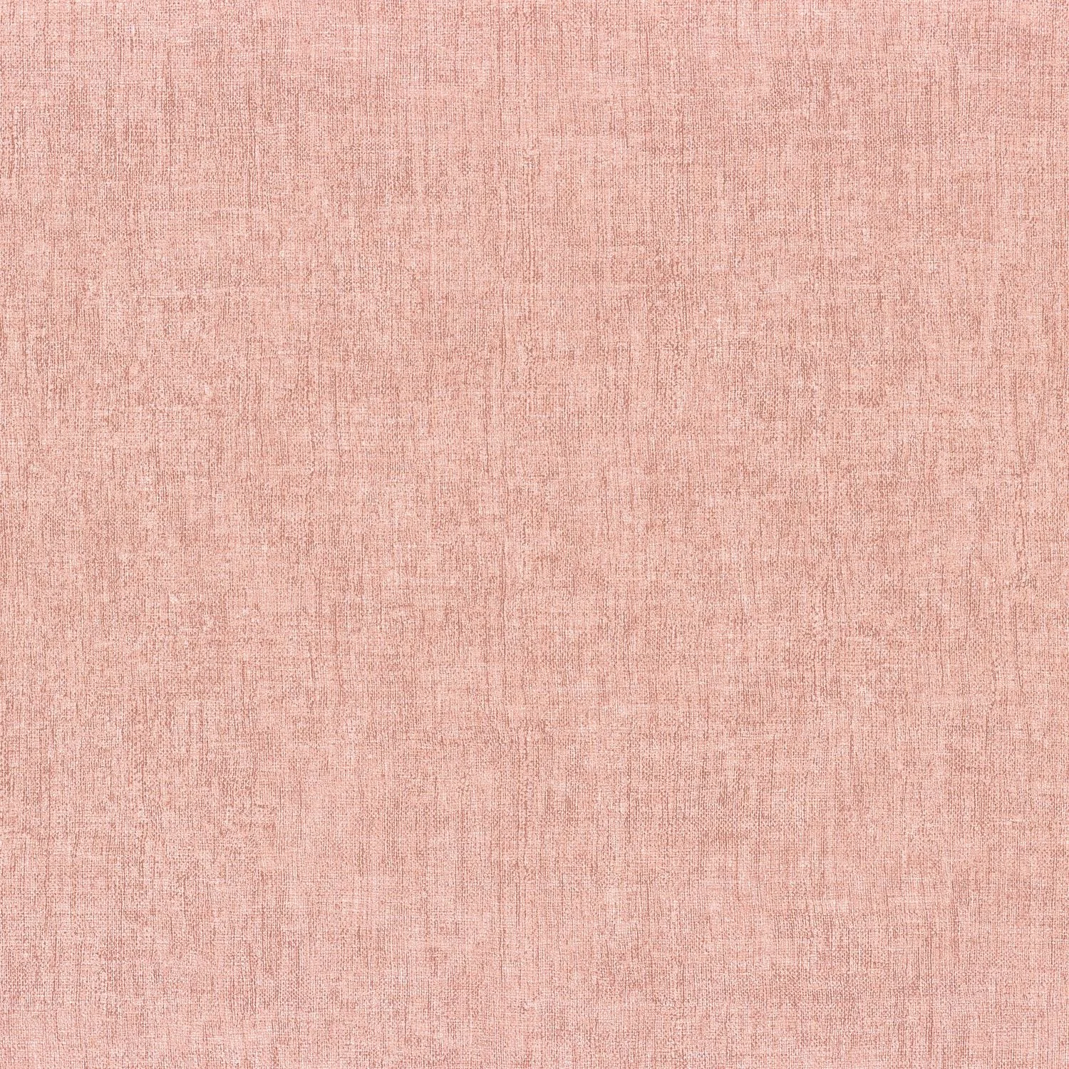 DIOLA__Rose Poudre__75151324.jpg