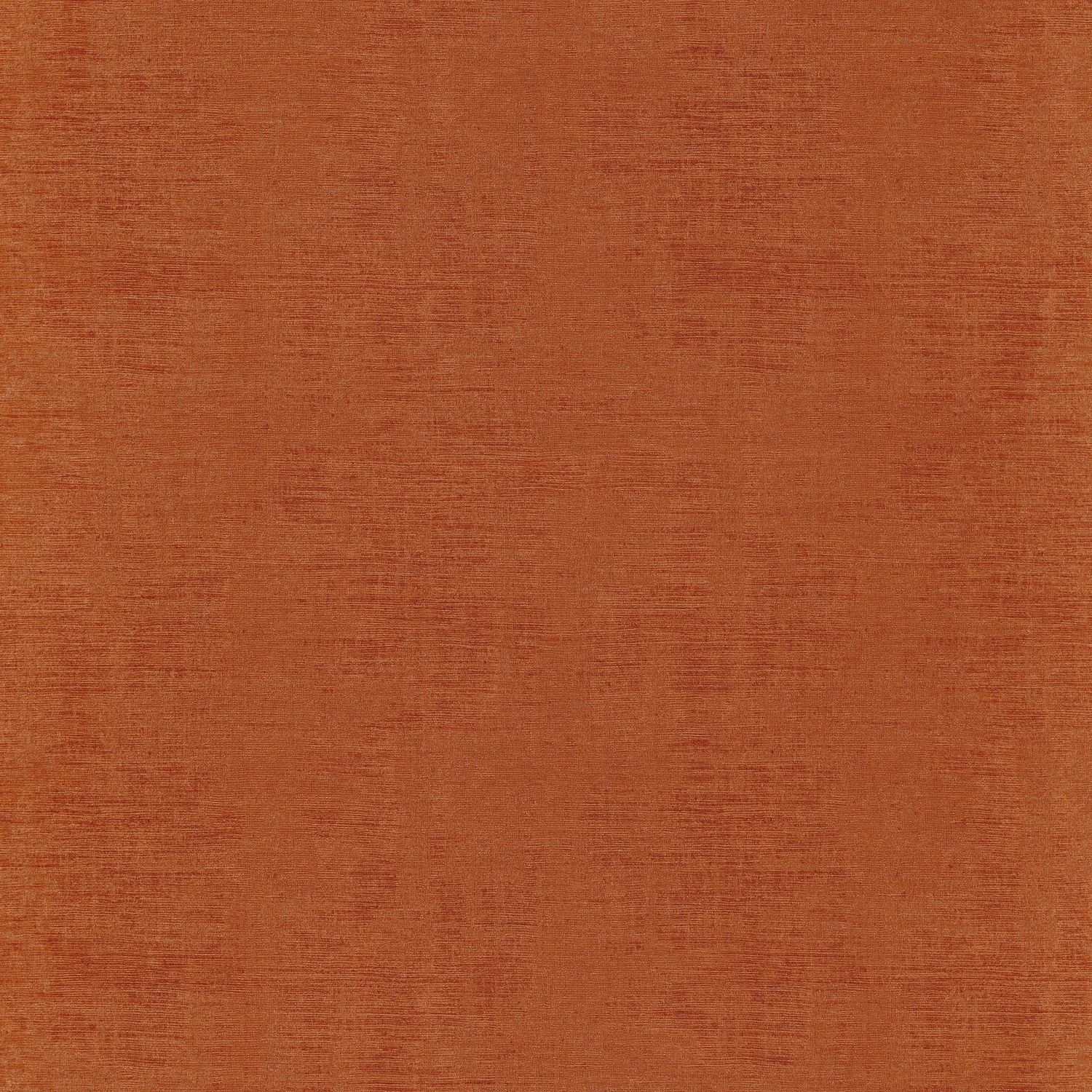 JOHARA__Orange Brulee__74393840.jpg