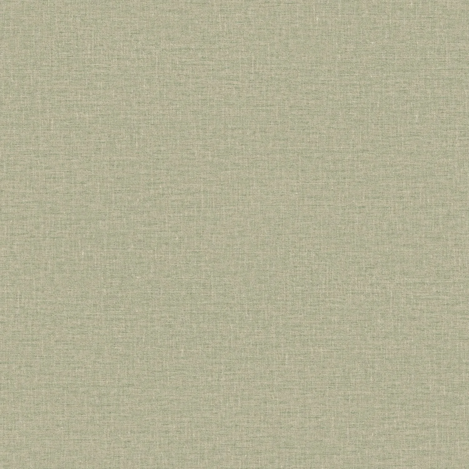 LINA__Eucalyptus__76852956.jpg