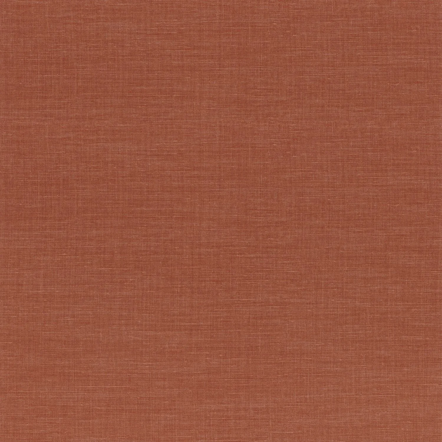 SHINOK__Orange Flamboyant__73819874.jpg