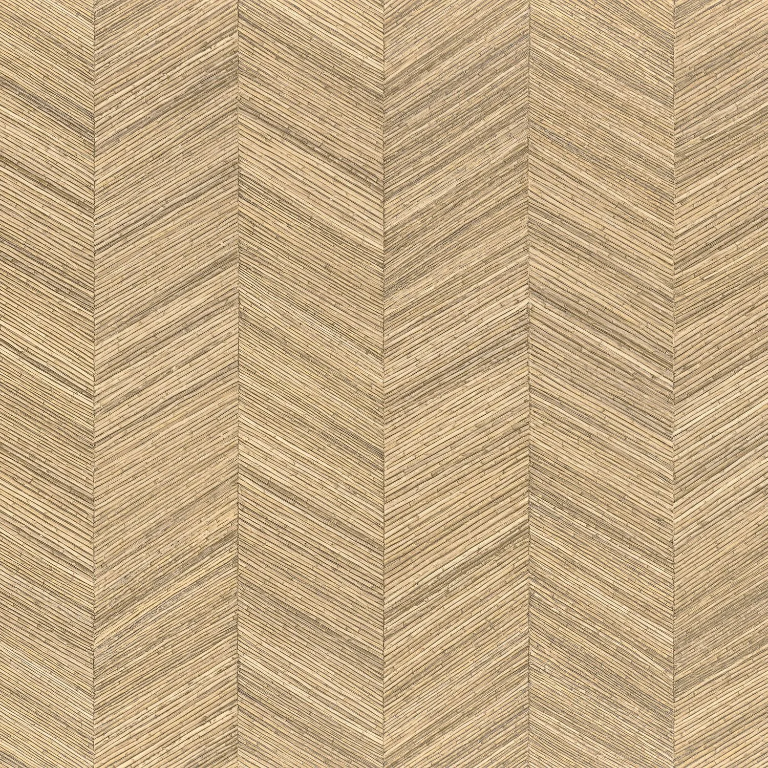 OCOTEA__Sable__75370916.jpg