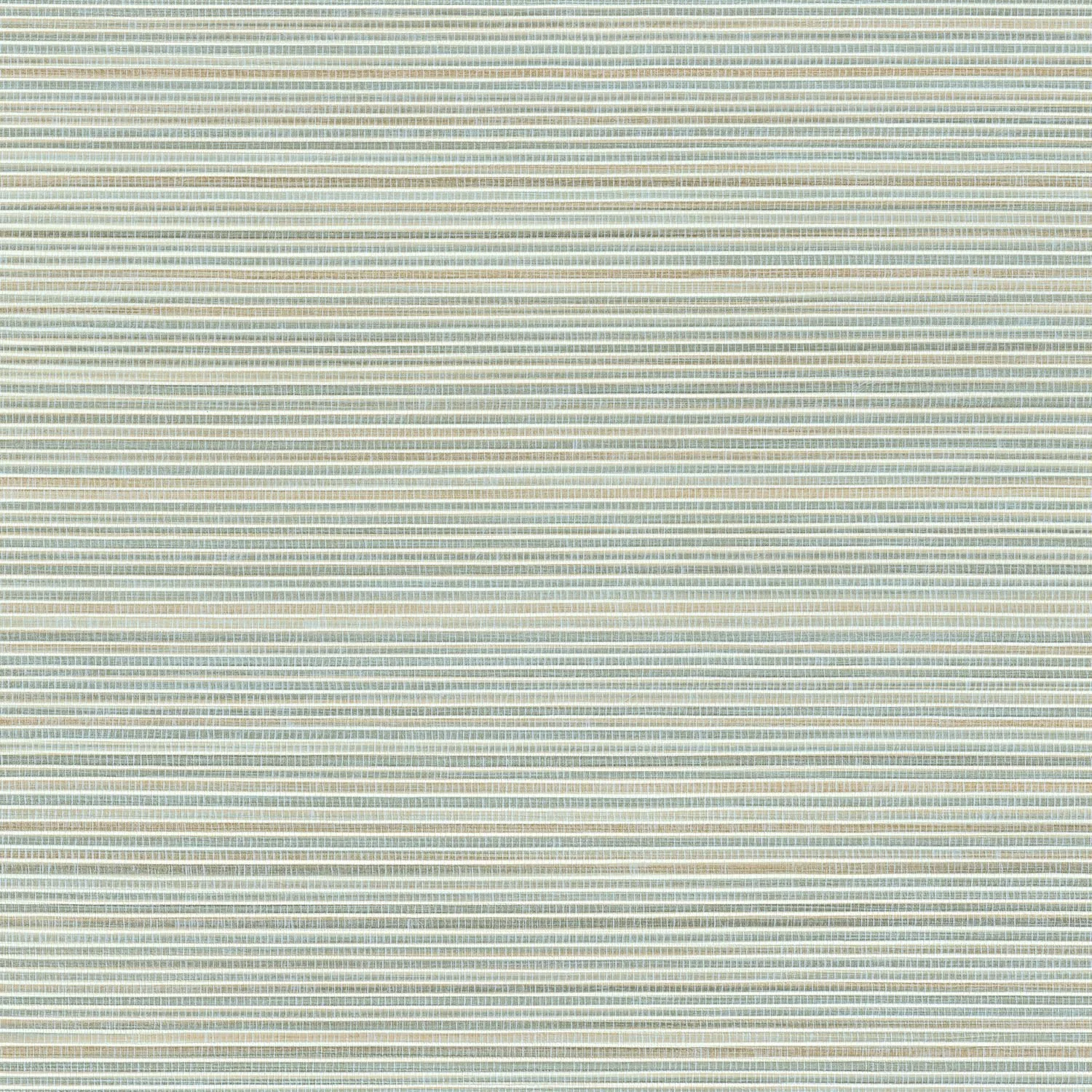 PANDAN__Paon__75360508.jpg
