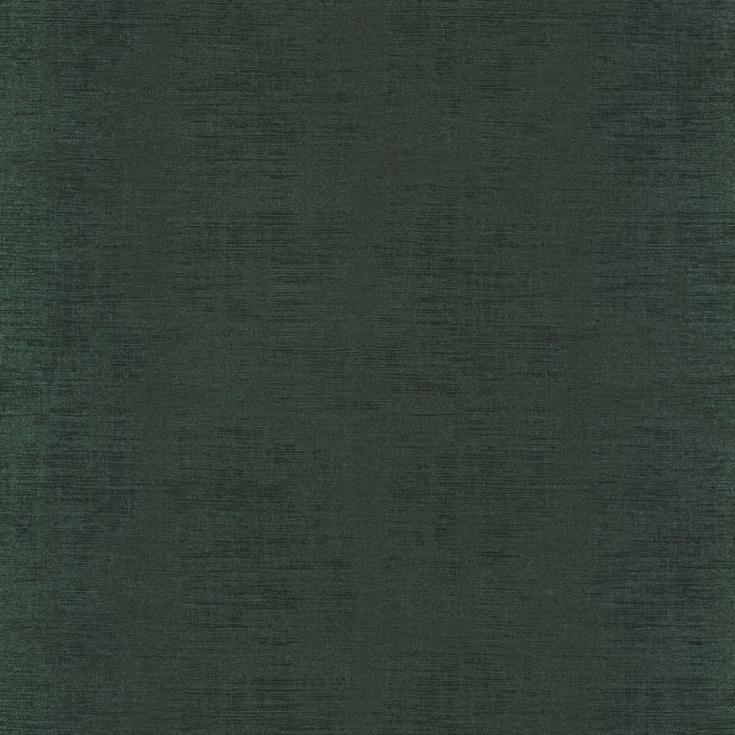 JOHARA__Foret__74393330.jpg