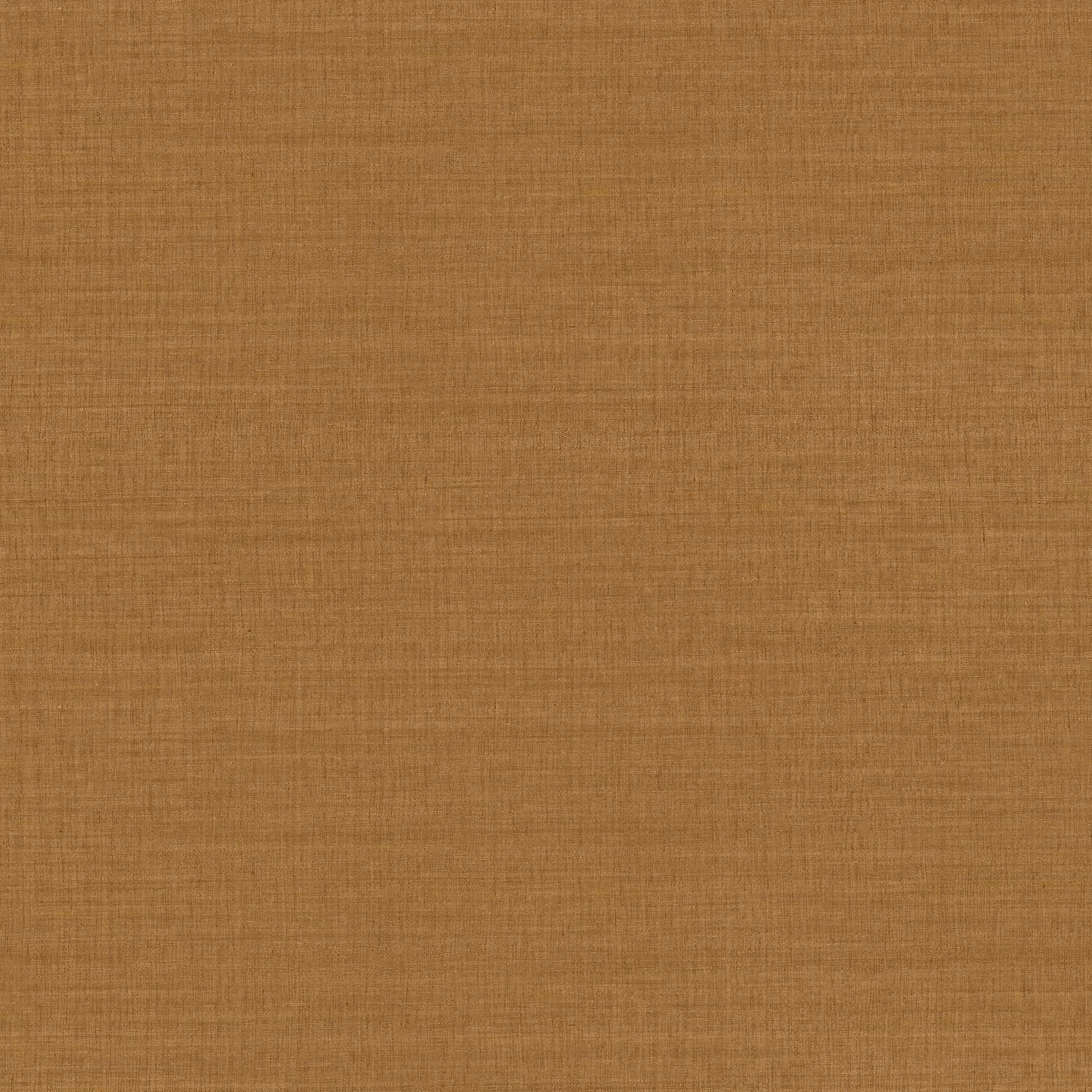 SORA__Ambre__70172956.jpg