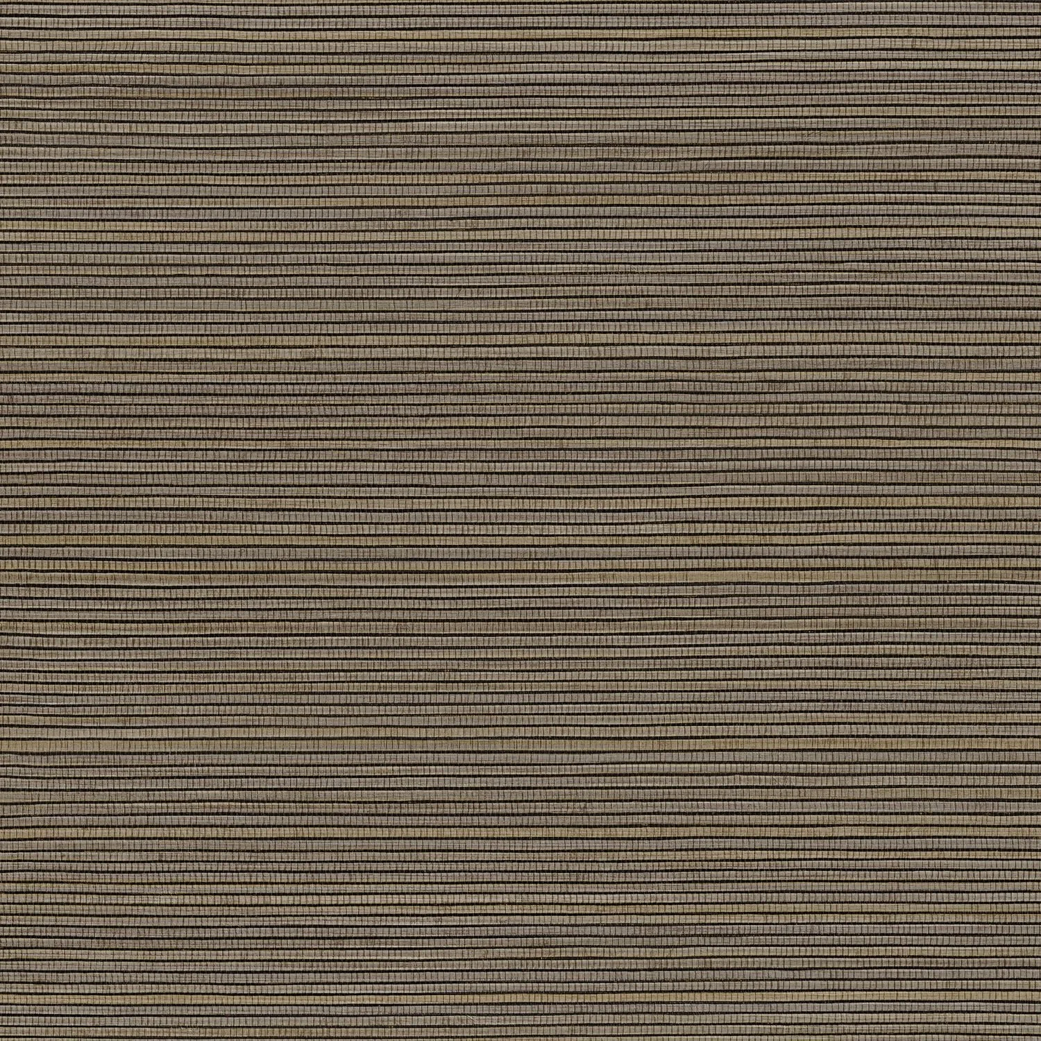 PANDAN__Gris Cendre__75360304.jpg