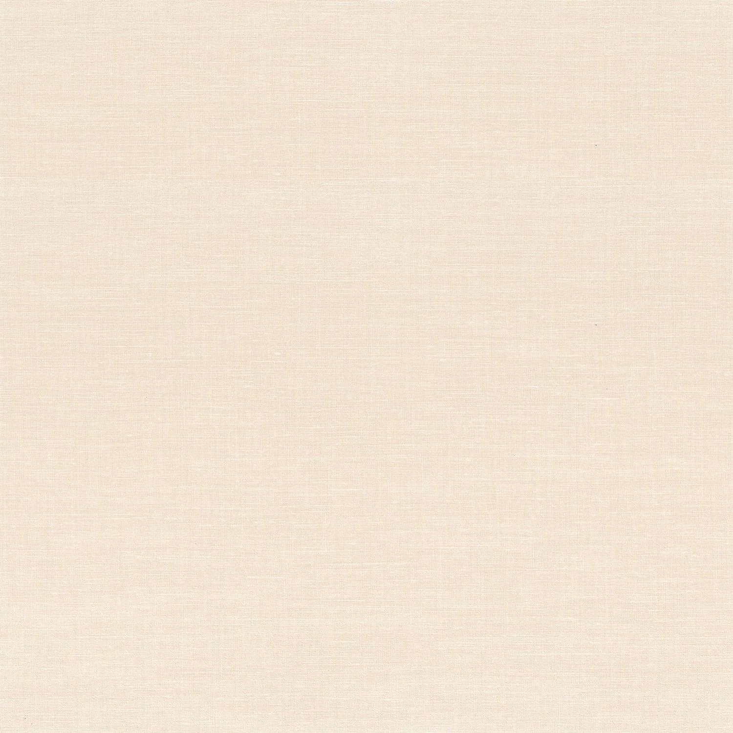 SHINOK__Creme__73819160.jpg