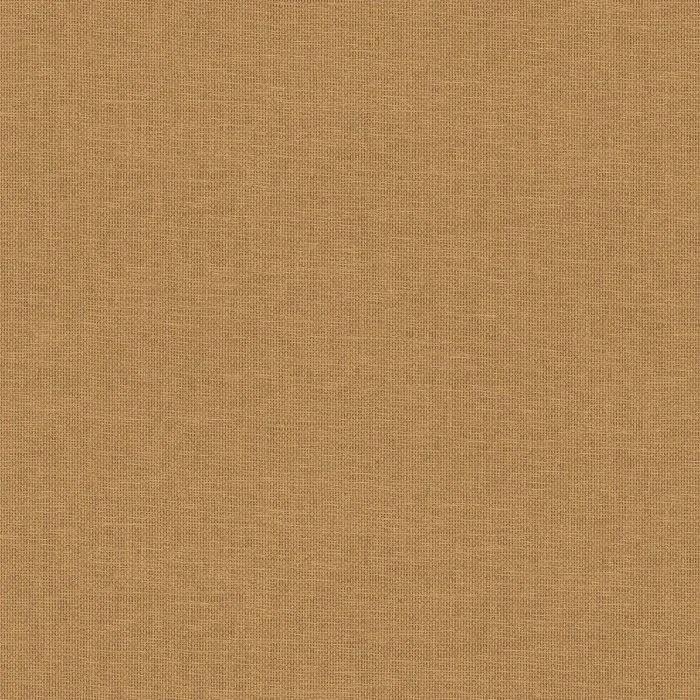 camel.webp