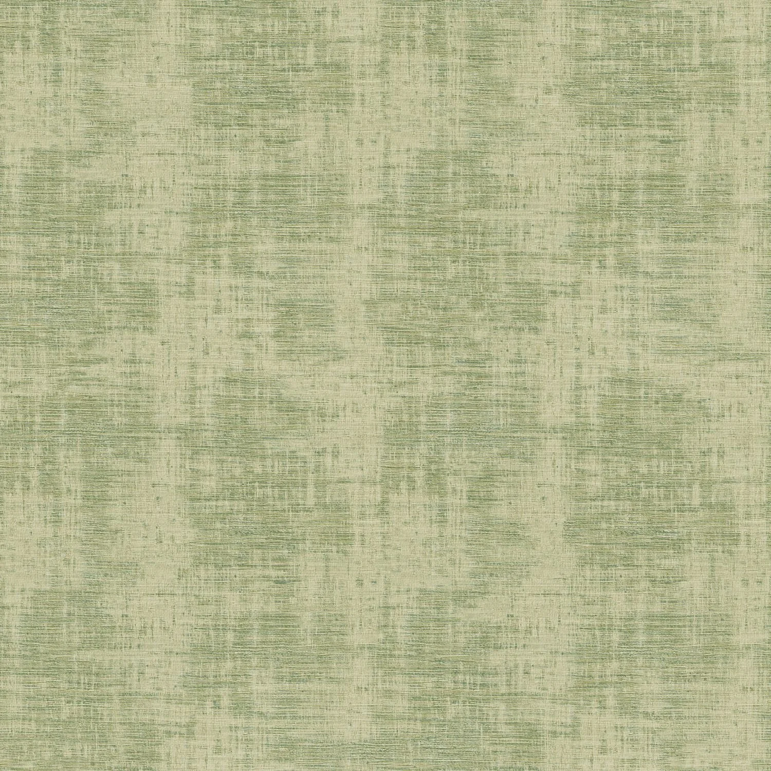 JOHARA__Cactus__74398228.jpg