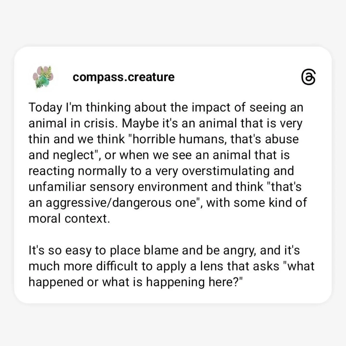 This comes from a personal place of experience as an animal guardian, that meets my trauma-informed knowledge. 

Jersey was once skin and bones, dying before my eyes because of an undiagnosed pancreatic condition. I often thought about what others mi