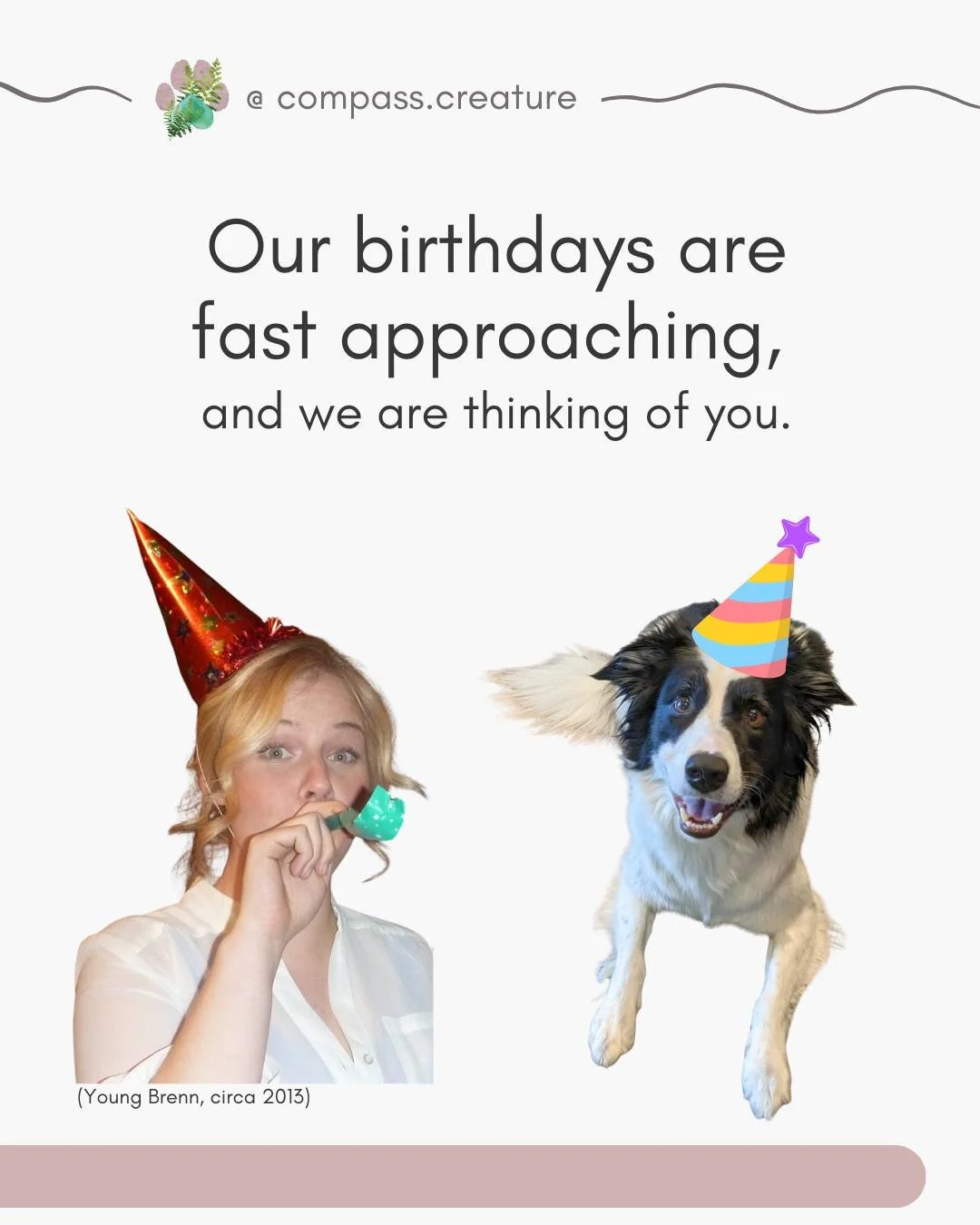 Since mine and Jersey's birthdays are fast approaching and we are so glad to have you following along with our mission, we would like to offer you (or someone you know who could benefit from our care) 7% off of the following services, between now and