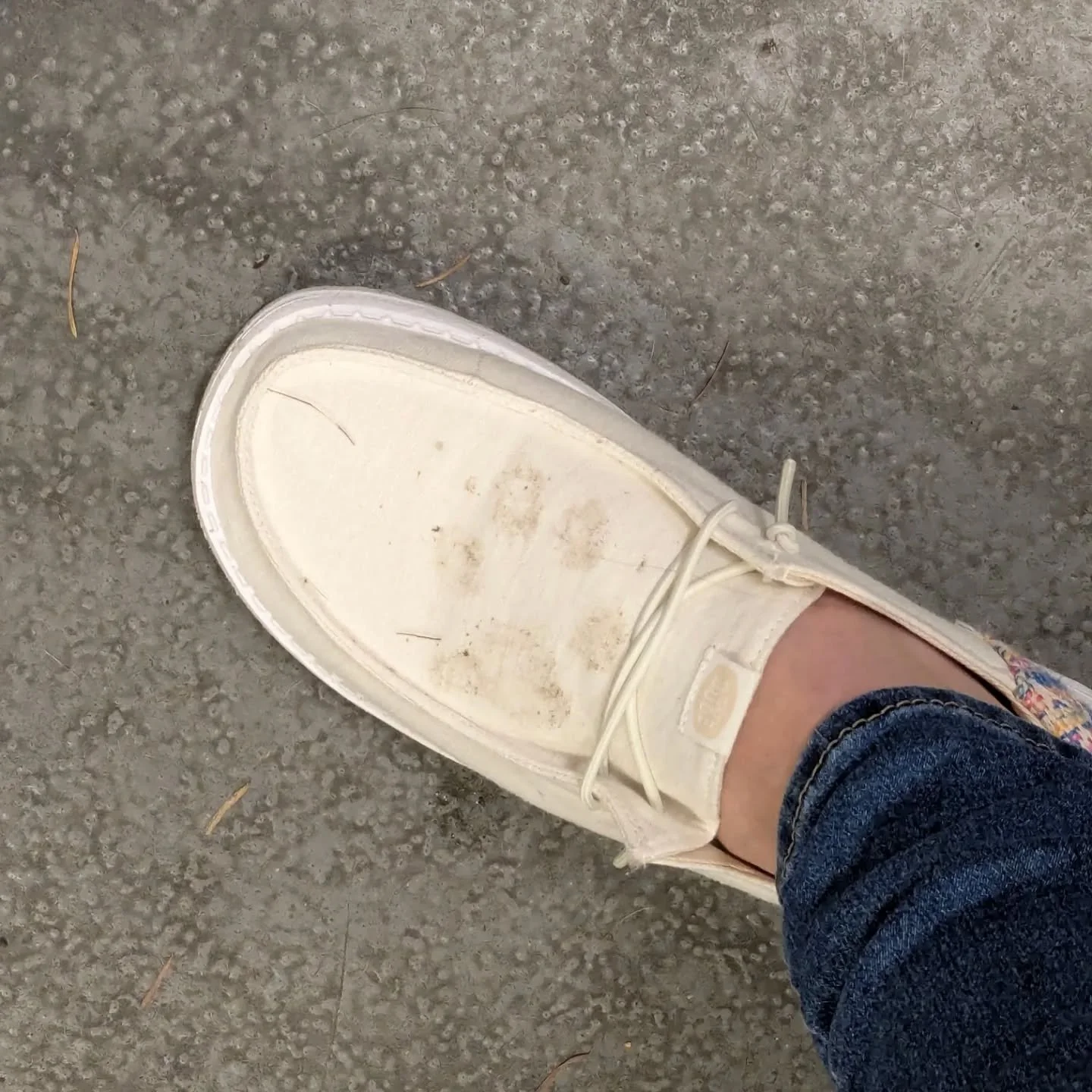 They leave paw prints on our hearts...and everywhere else. 🐾 💜