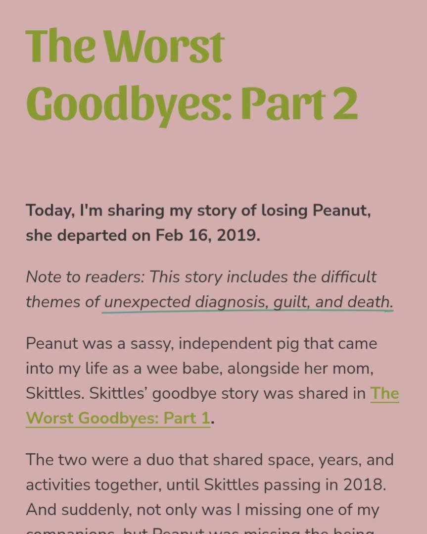 Blog #3 is out for the animal caregiver community. Find it on our website! 

If I am showing up to support grieving companion animal guardians, it is important that I can voice my own experiences of loss and life again. 

For a long time, my grief ha