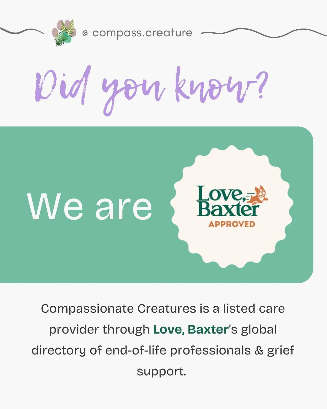 Have you heard of @lovebaxterco?  We started following their mission in early 2025 and knew the network was needed in the companion animal guardian space. It brings together vast care services, resources, and information for guardians navigating diff