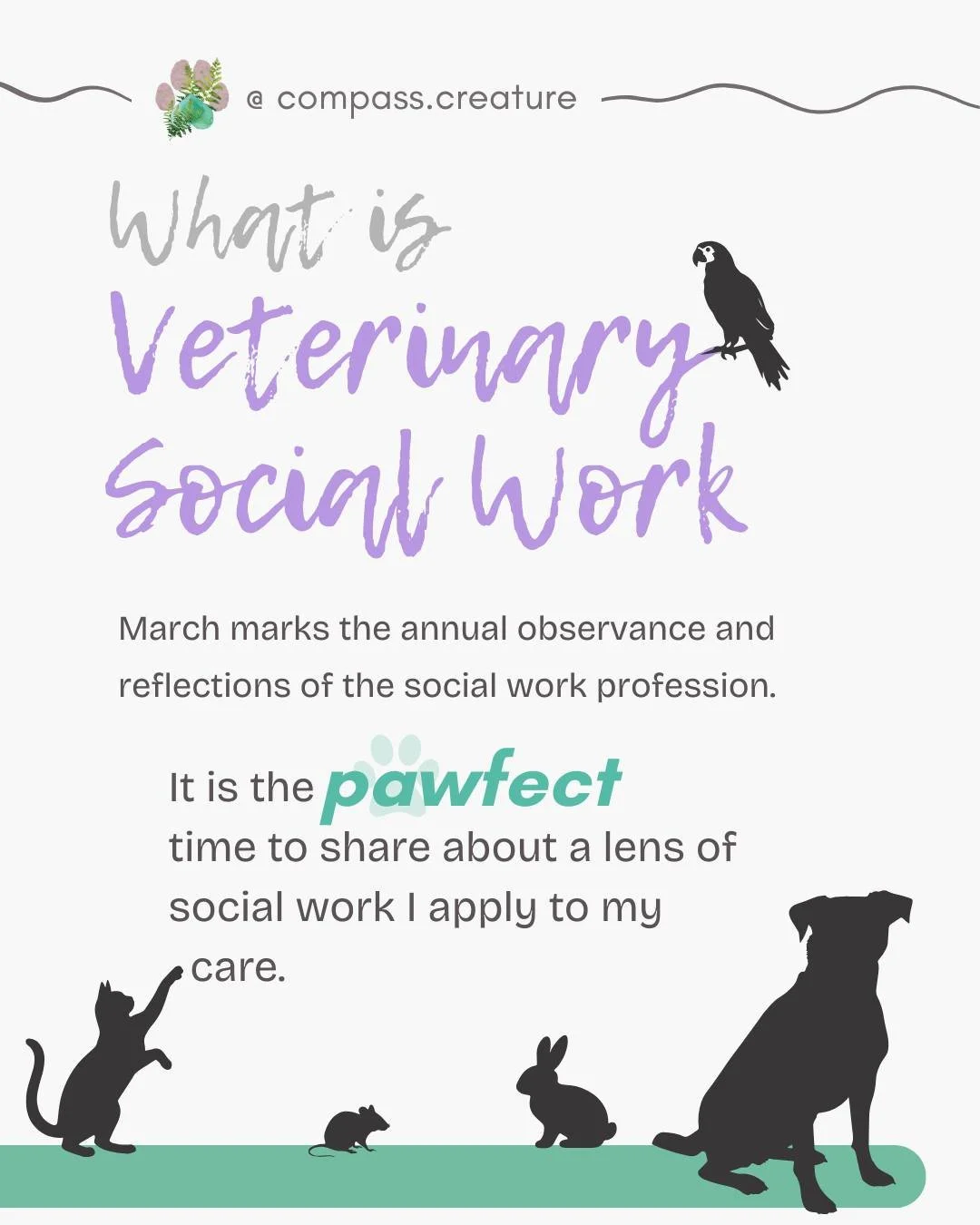 If you have hung out with me for more than 10 minutes, you have likely heard me say "human-animal bond" or "veterinary social work". 

These terms are truly at the heart of the work I do, and the passion that both keeps my flame b