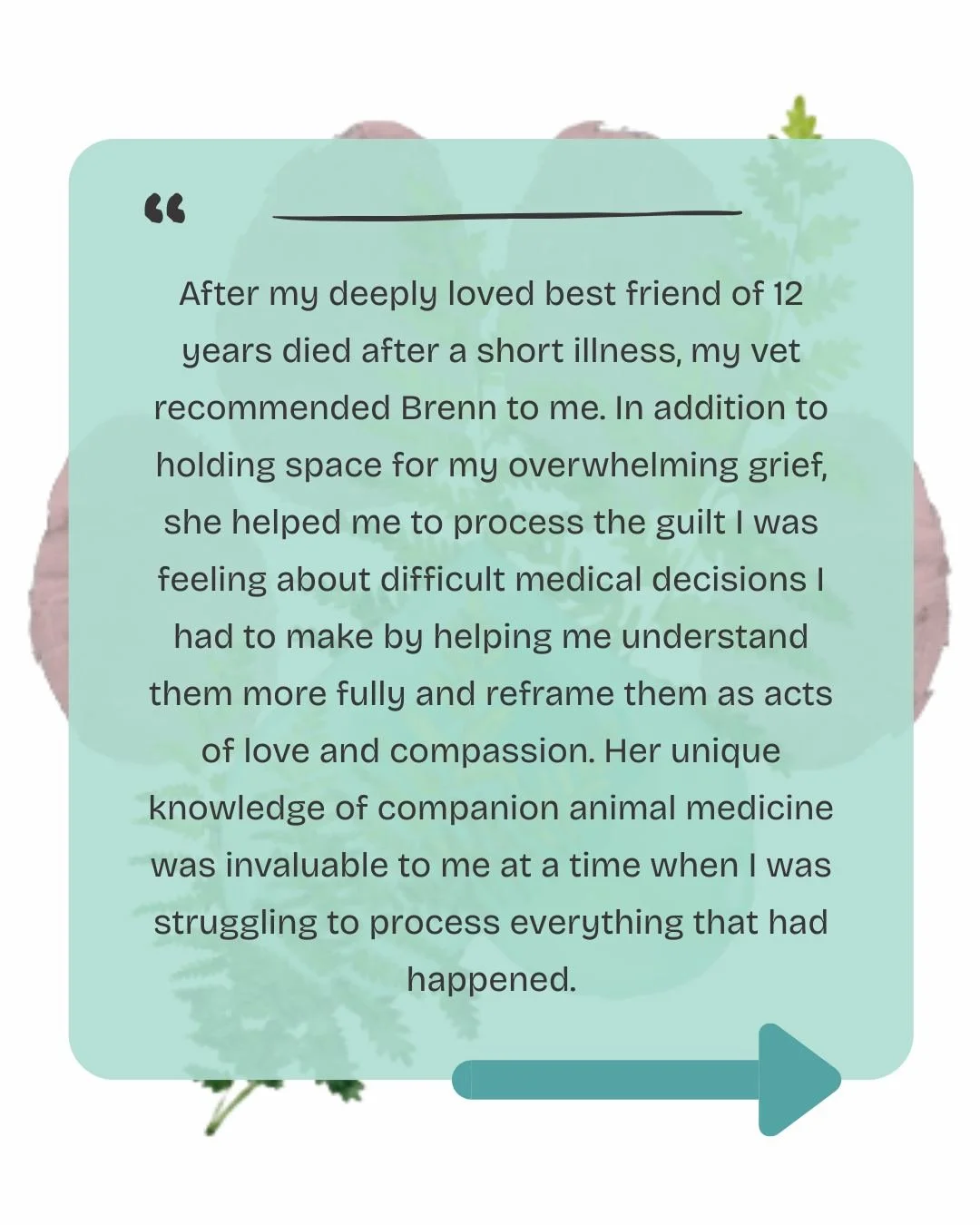 Thank you to those who continue to entrust me with their care. This is heart work and I'm honoured to be able to sit with you and explore the complex, wounded, and deeply grief-filled parts of your companion animal guardian experiences. 

It's not ab