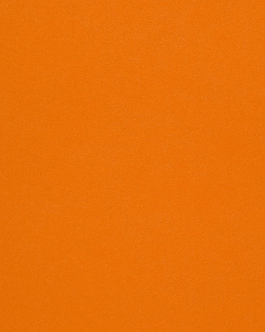 Solid orange textured background.