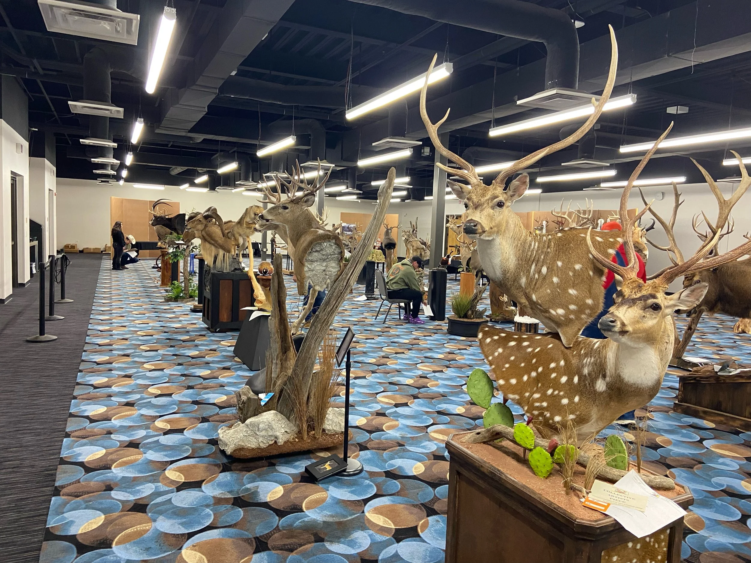 2025 Convention showroom.jpeg