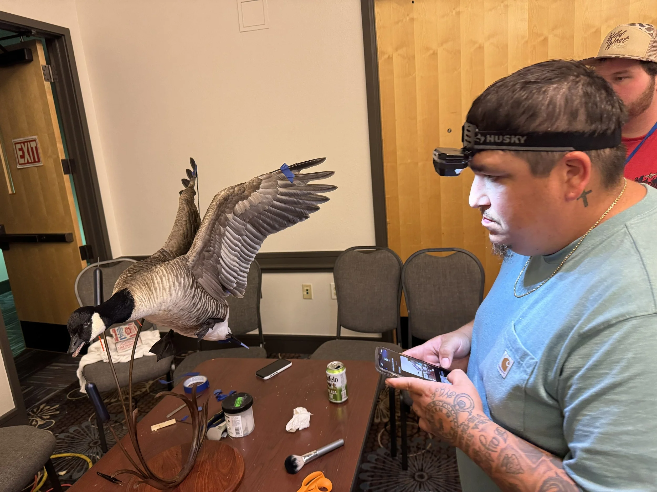 Bird Calcutta Entry $50 + 1.45