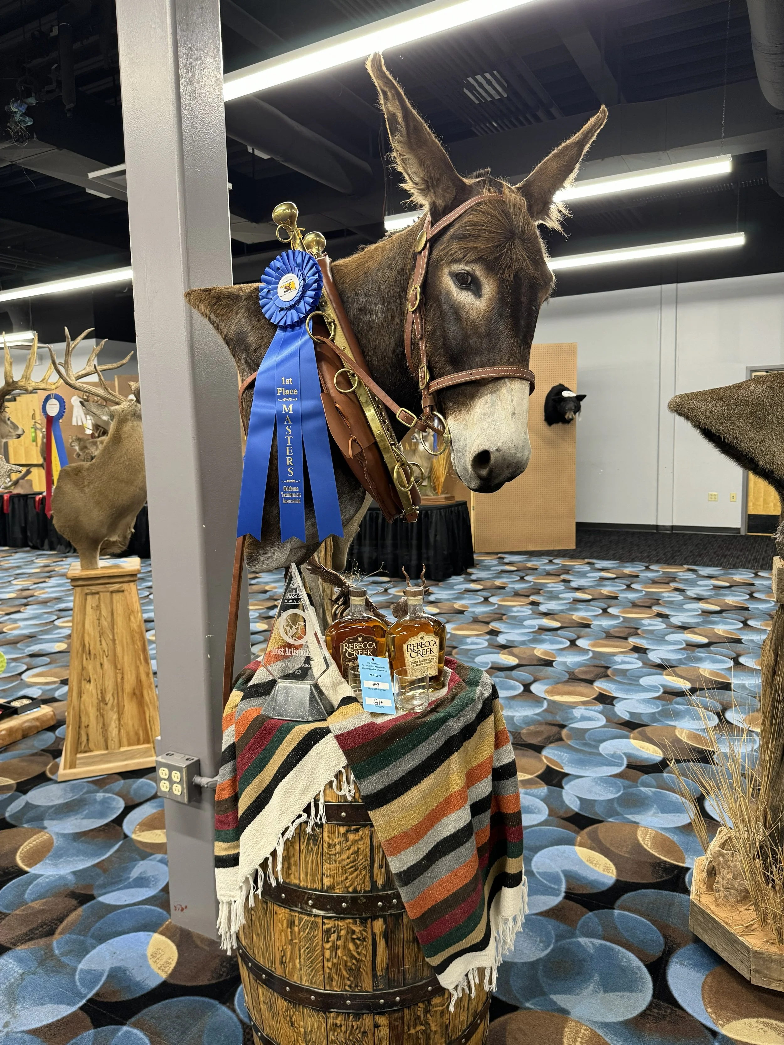 General Competition Entry