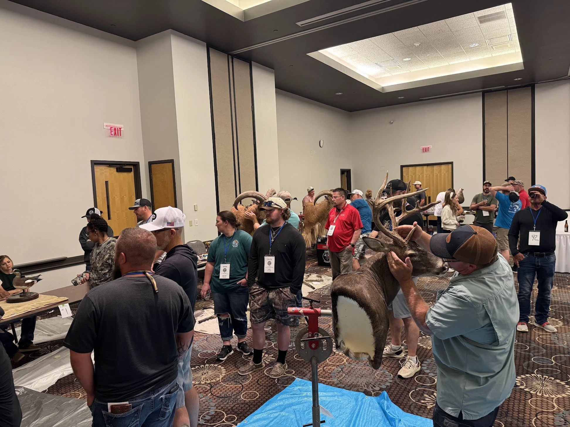 Live Mounting/Calcutta Entry