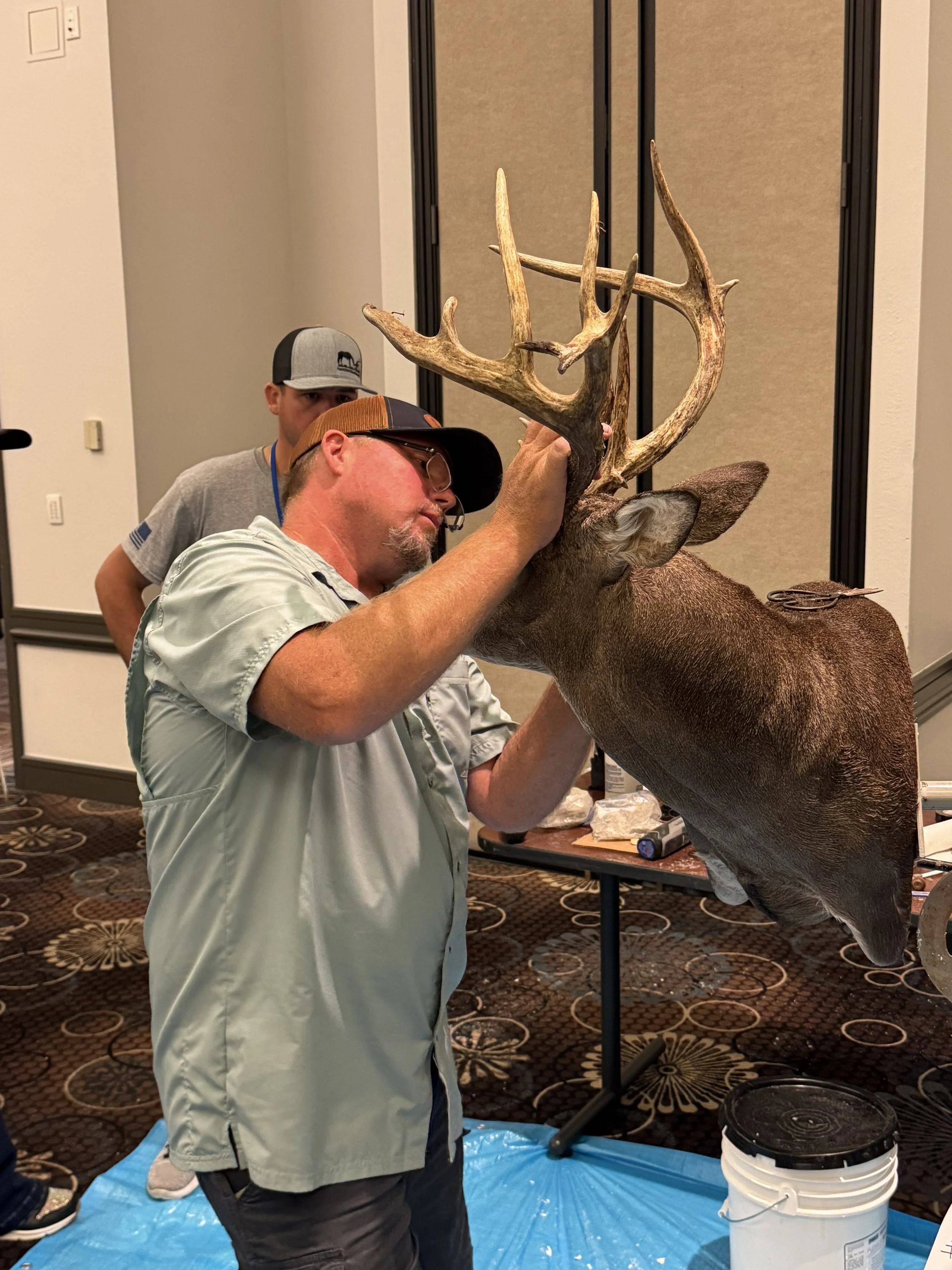 Calcutta Whitetail/Gamehead $50 + 1.45