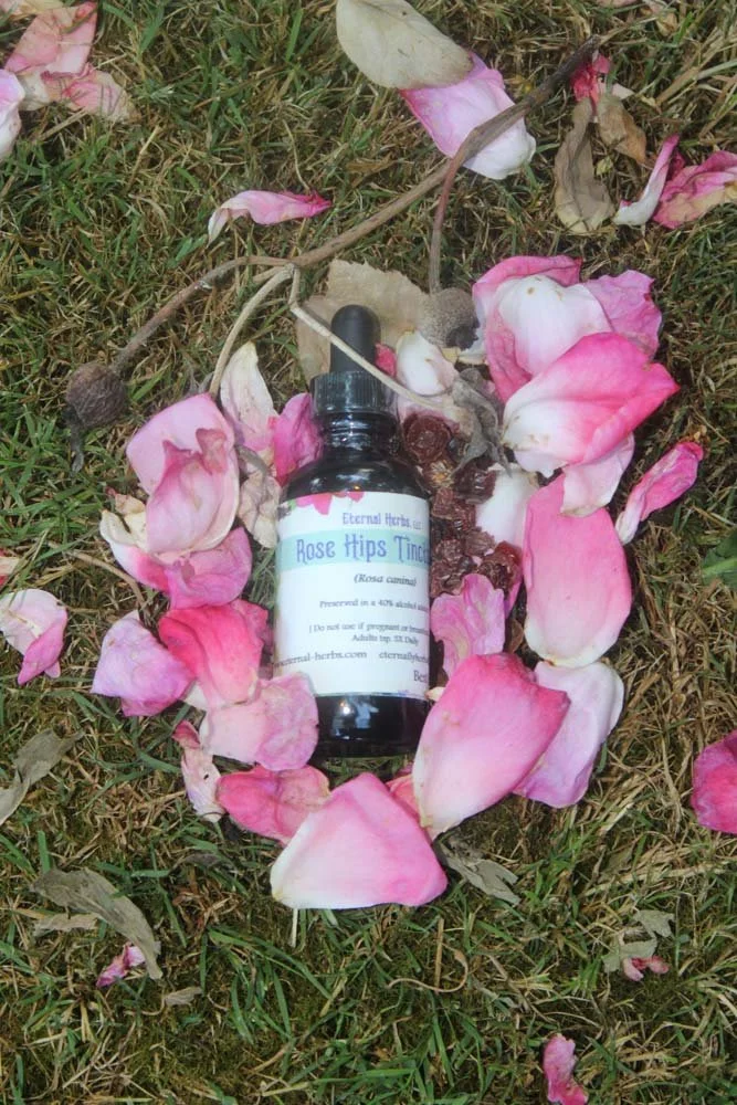 Rose Hips Tincture